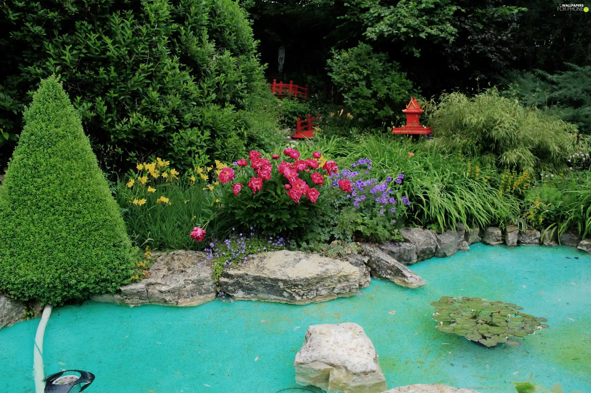 Garden, Bush, water, Flowers