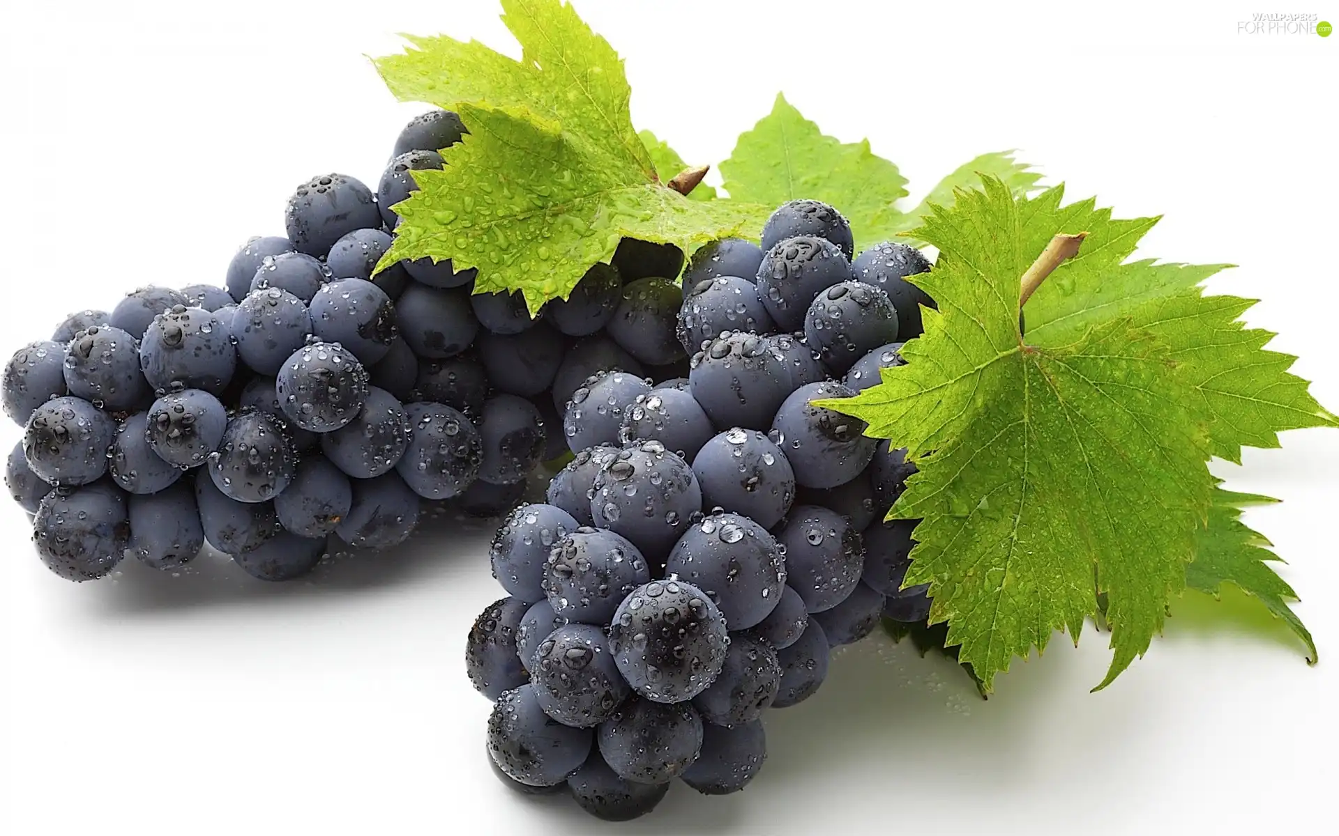 Grapes, drops, water, leaves