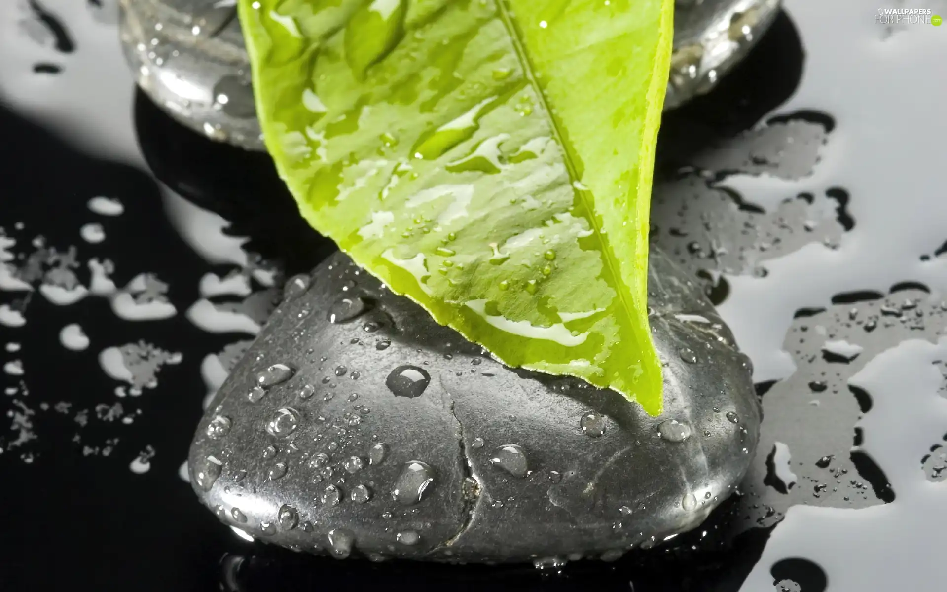 Green, Stones, water, leaf