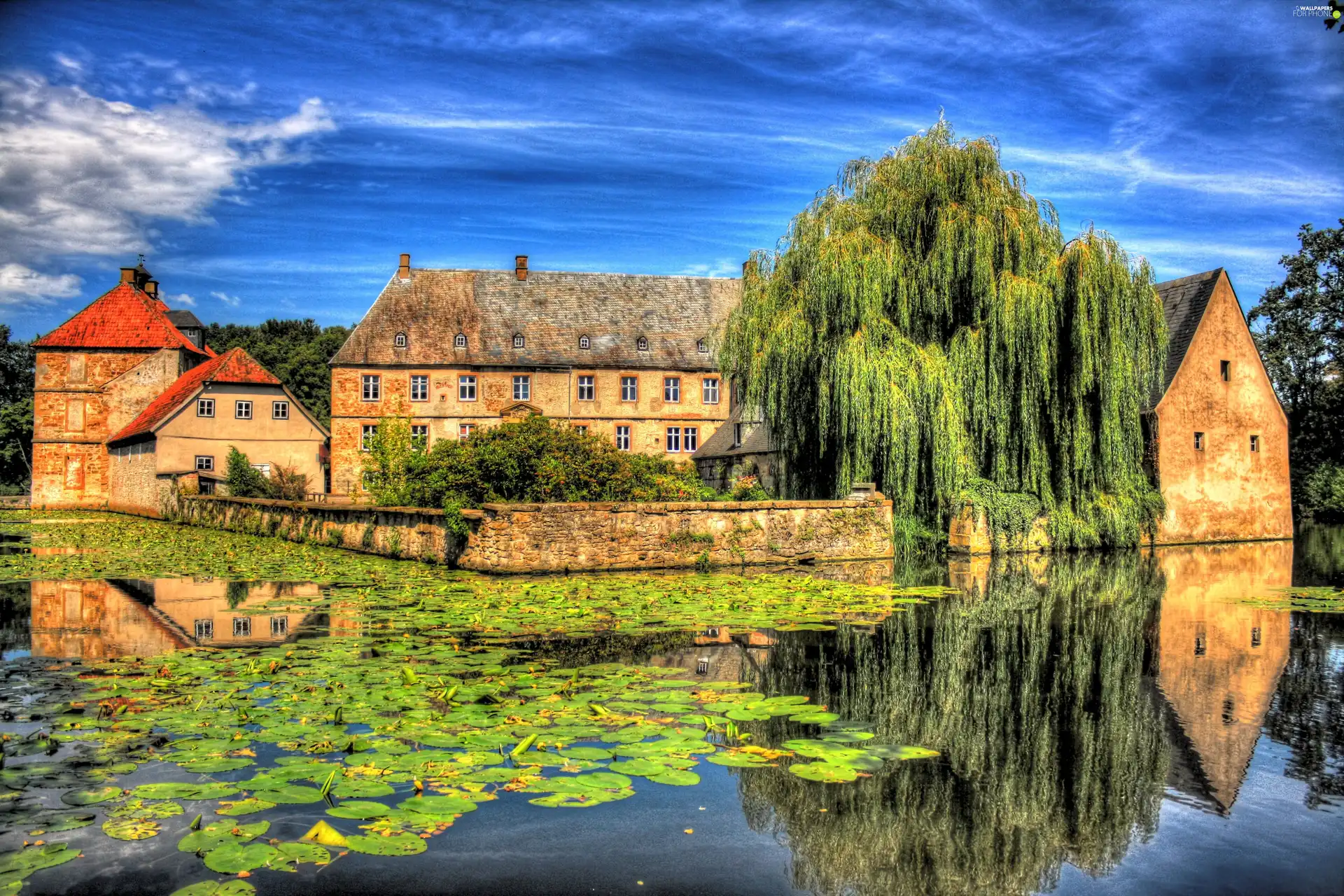 water, House, water, lilies, Willow