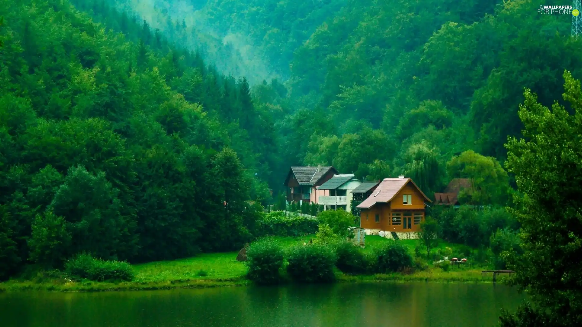 water, forest, Houses