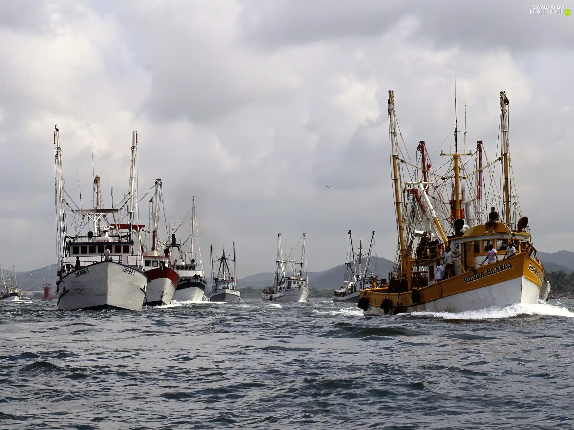 Port Of Mazatlan, vessels, water, Mexico
