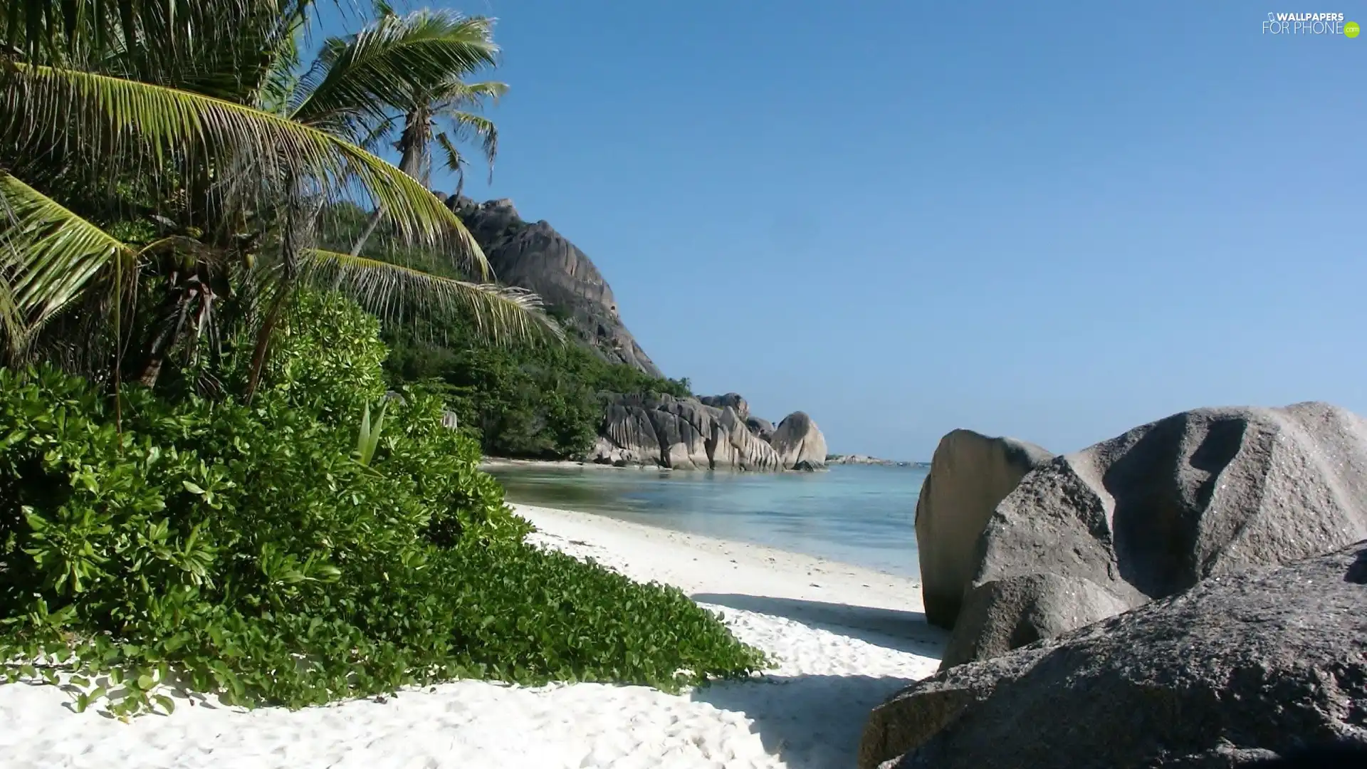 VEGETATION, Sand, water, mountains, Rocks, Palm