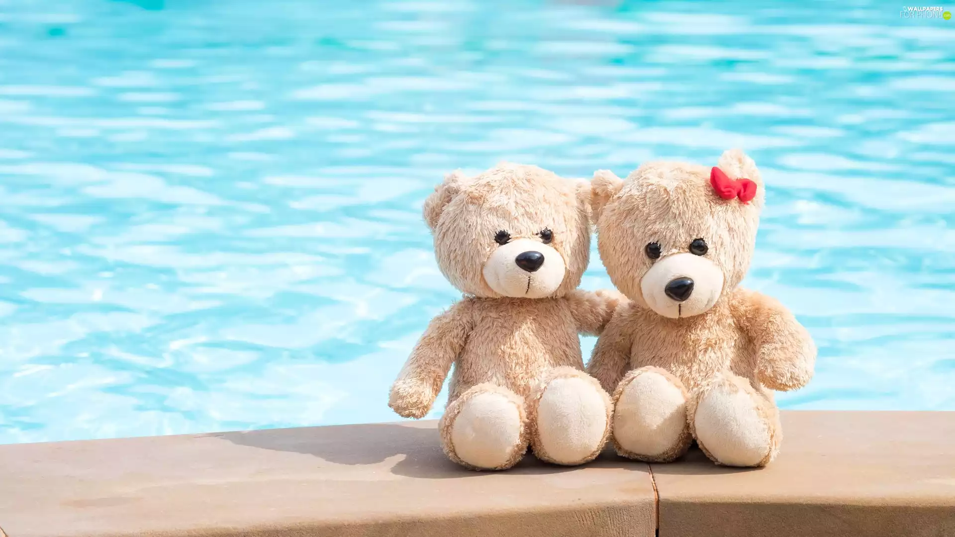 water, bear, plushies