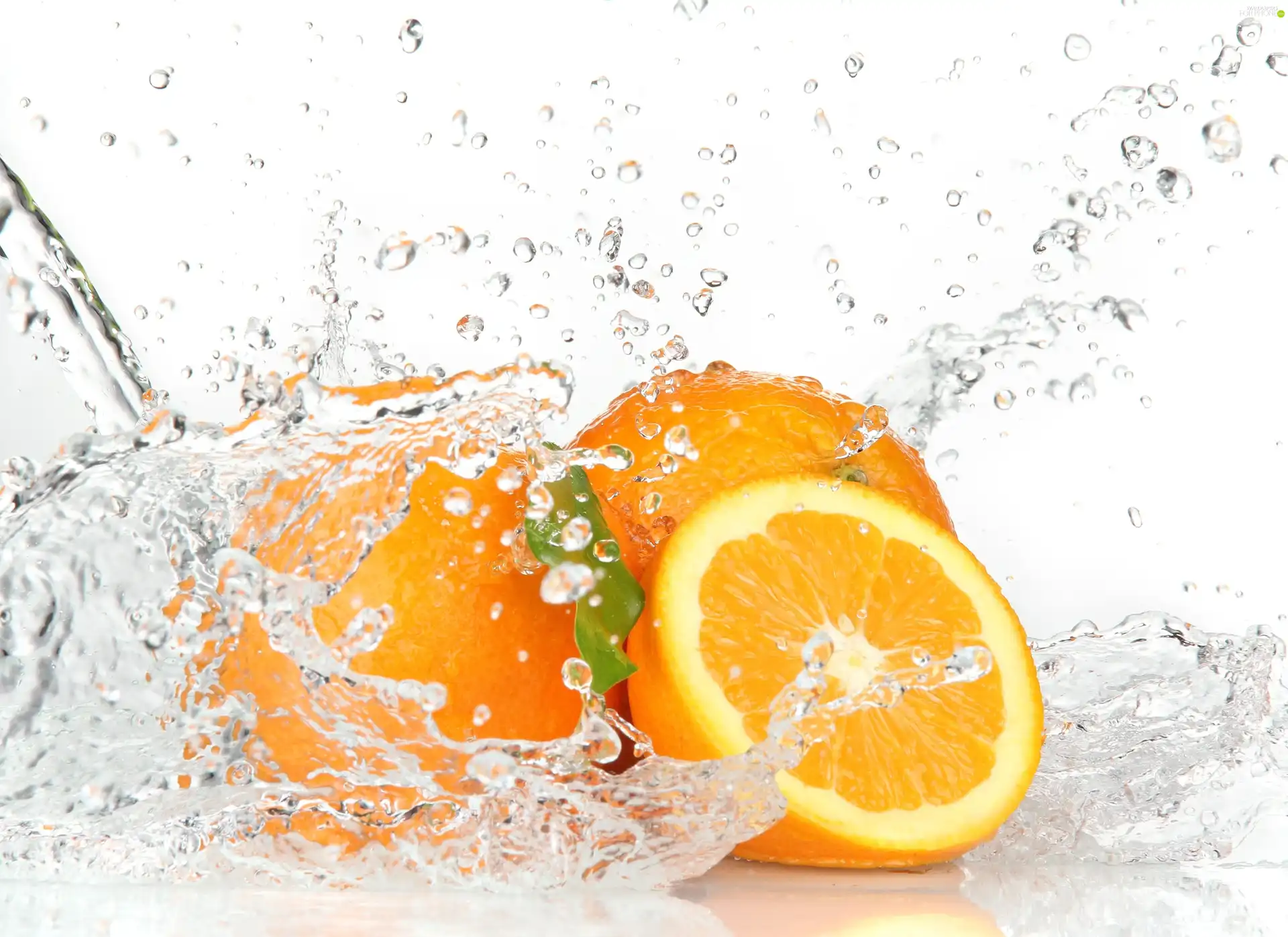 water, orange, pulp