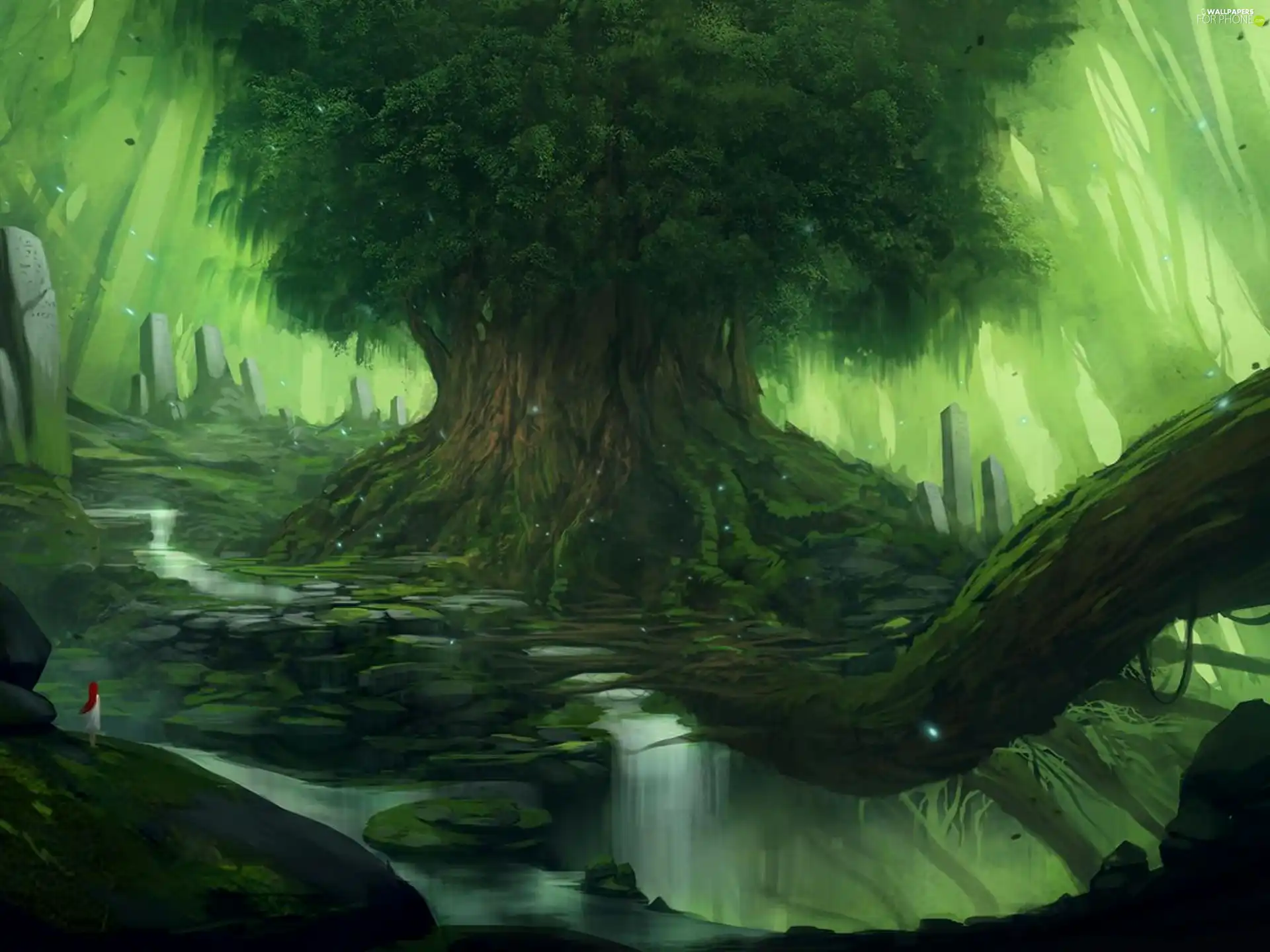 water, trees, roots