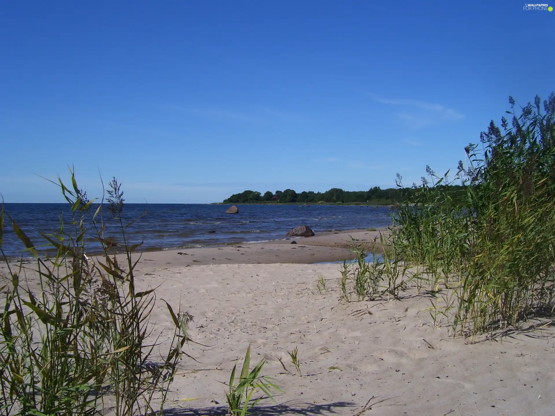 water, coast, Sand