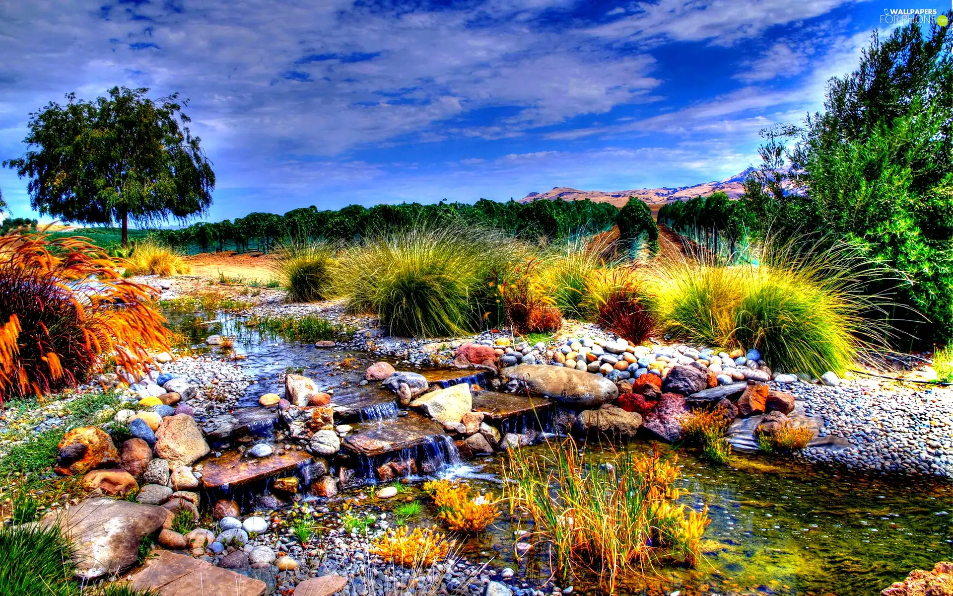 water, Stones, trees, viewes, Sky