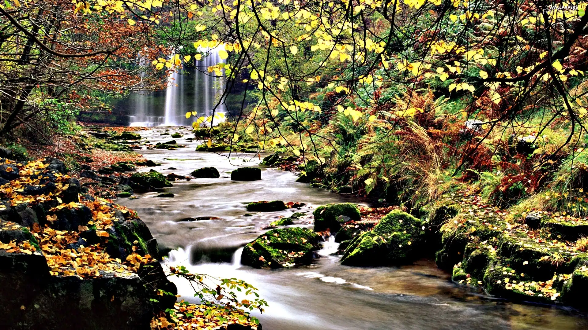 waterfall, forest, brook