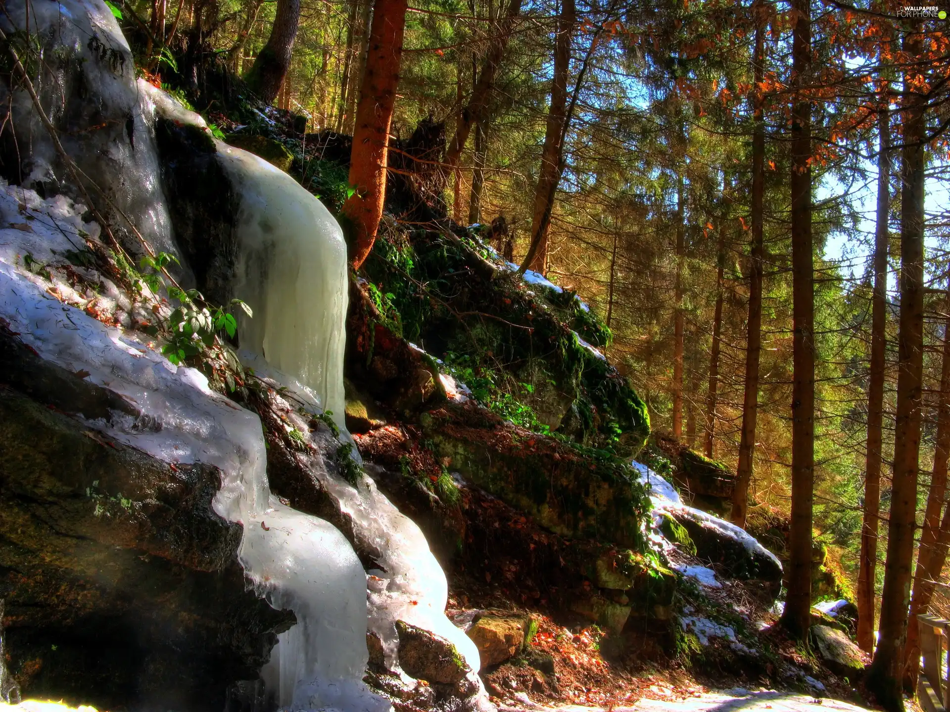 waterfall, forest, frozen