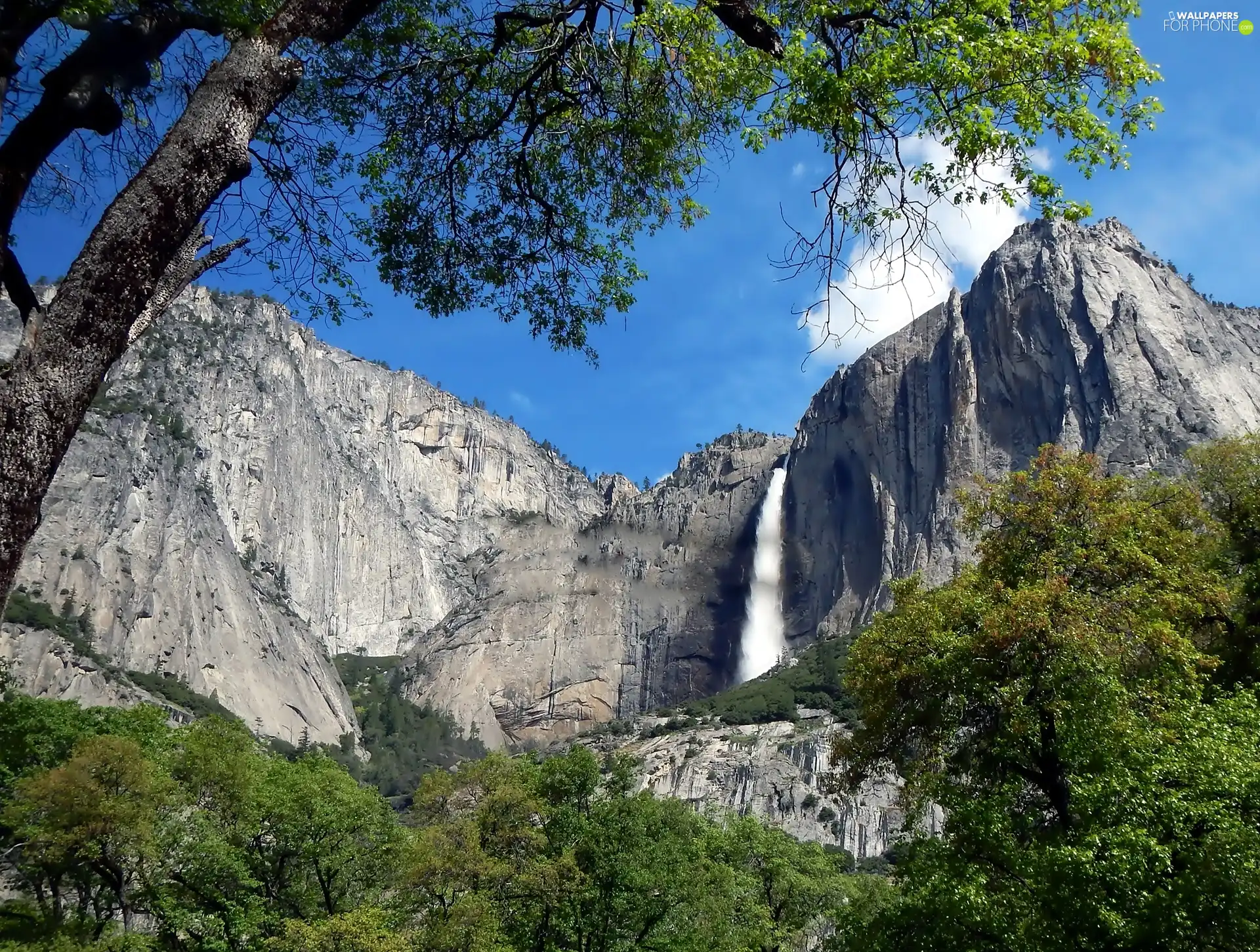 rocks, trees, viewes, waterfall