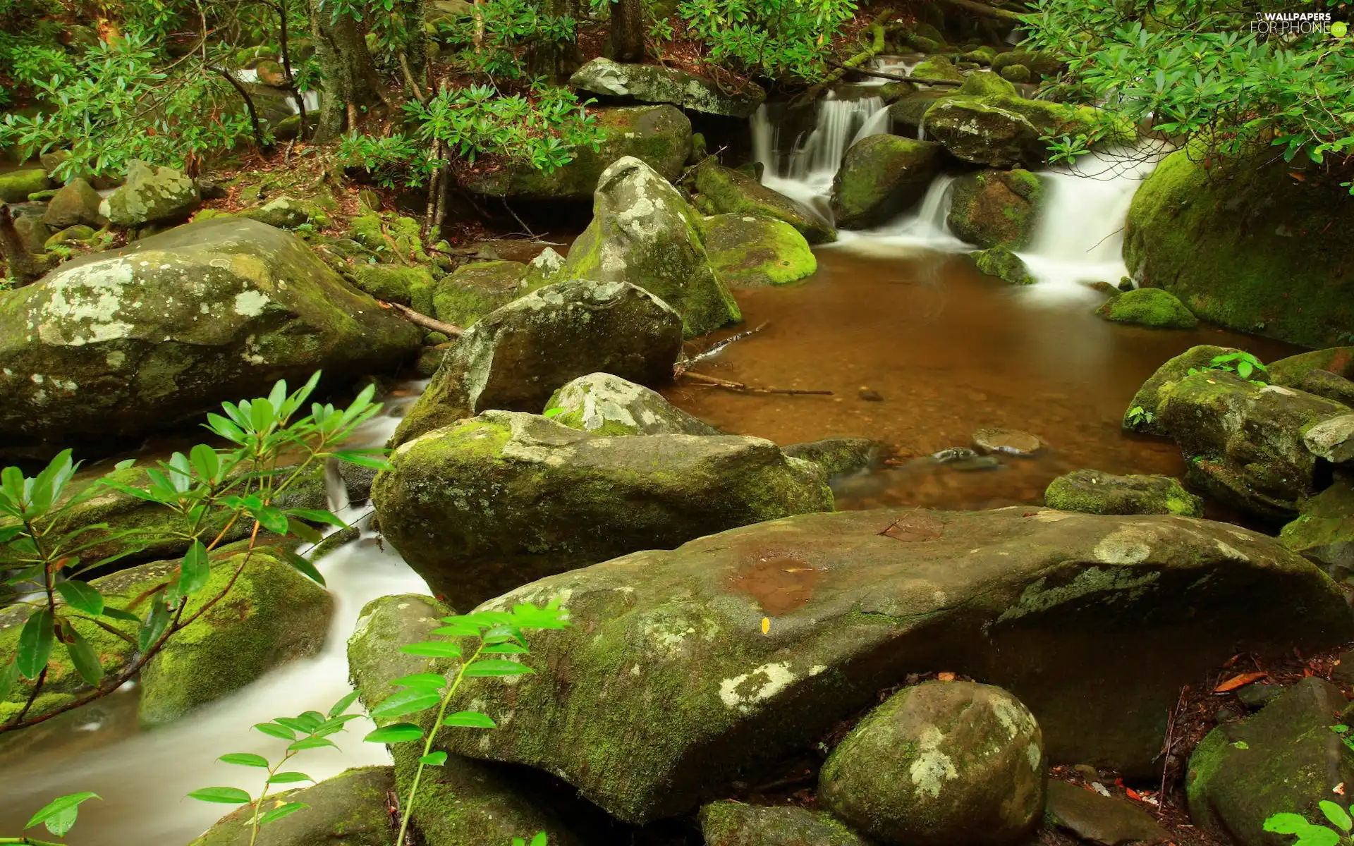 Stones, Moss, waterfall, stream