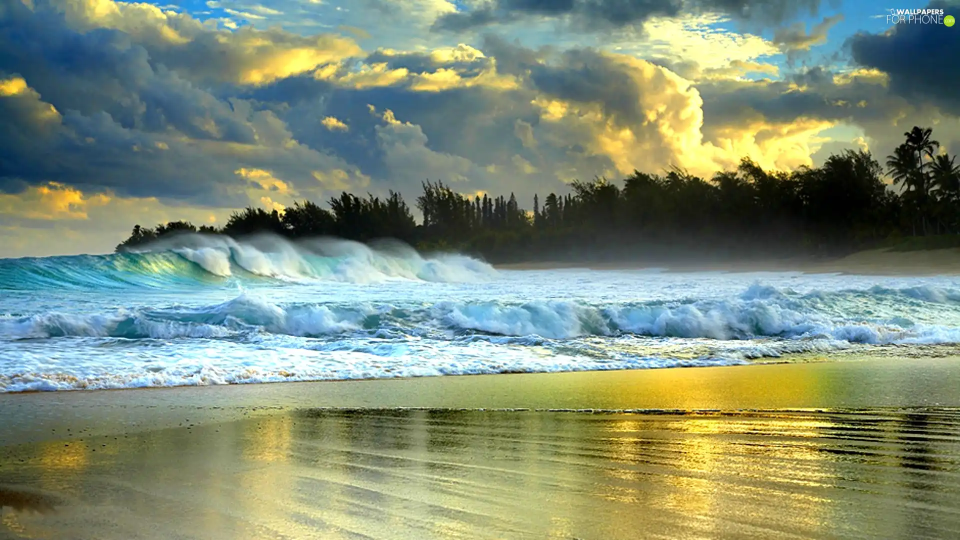 Waves, sea, Beaches
