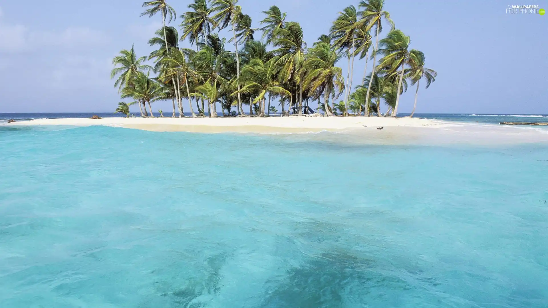 Island, sea, Waves, Palms