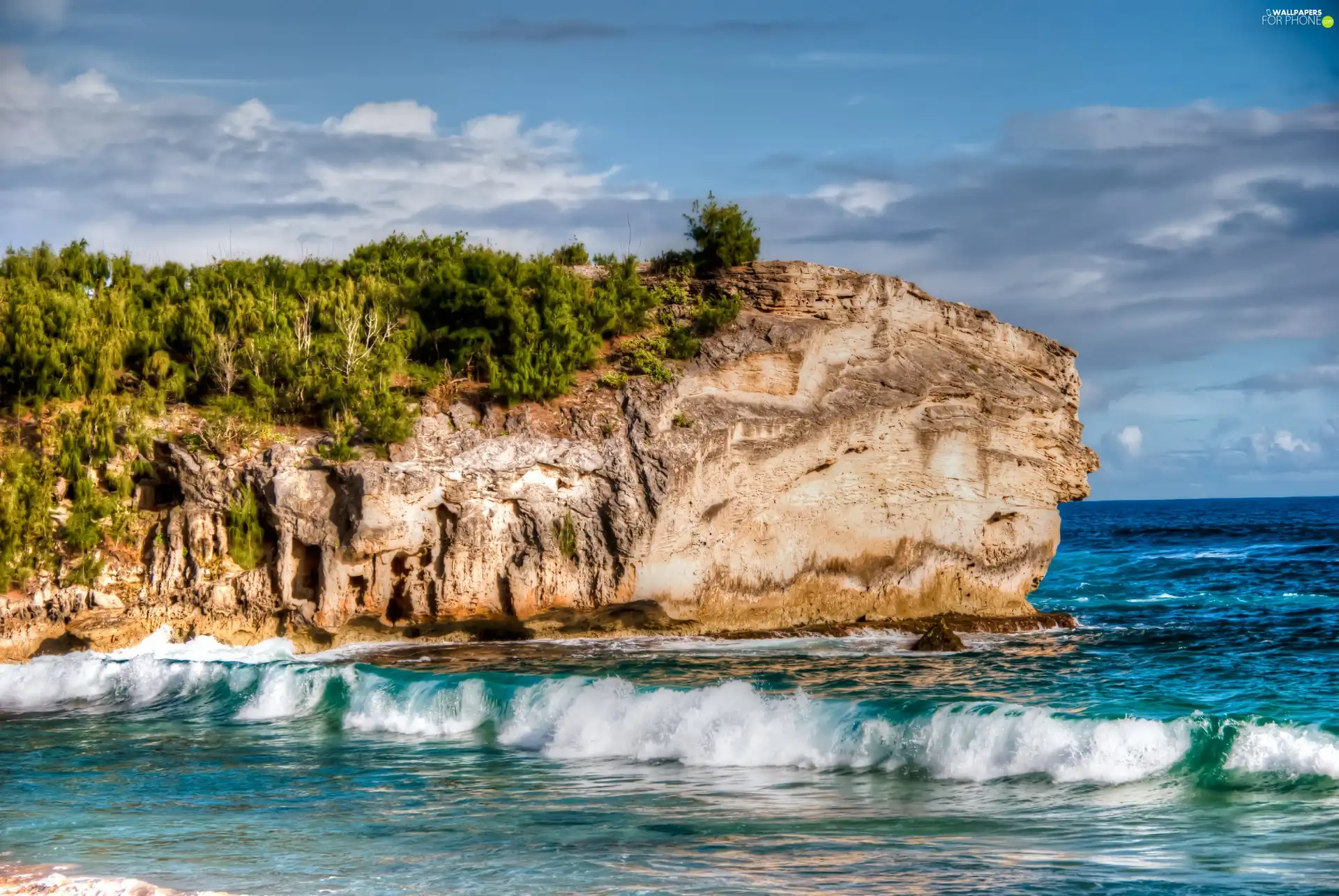 Waves, sea, rocks