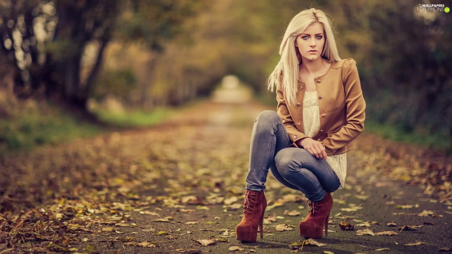 autumn, Women, Way, Leaf