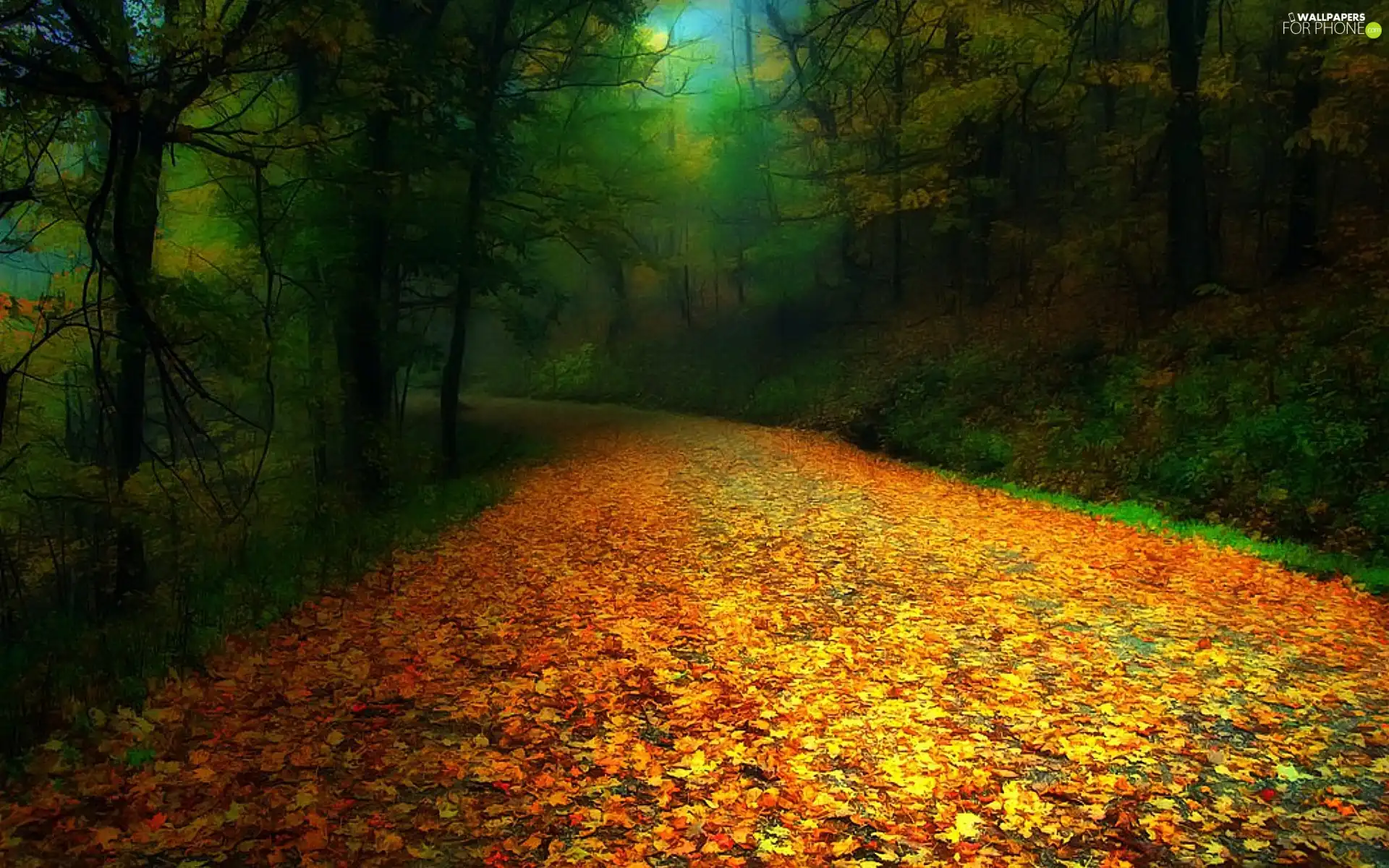 Way, autumn, forest