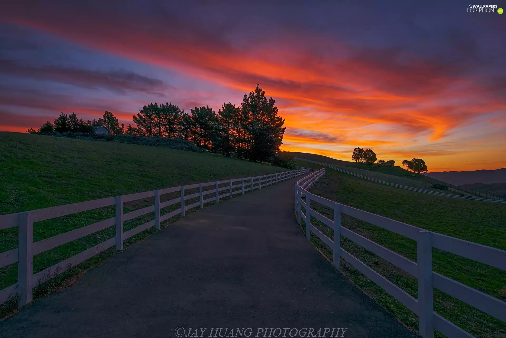 fence, The Hills, viewes, Great Sunsets, trees, Way