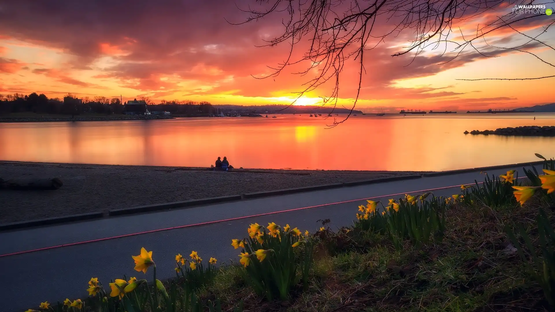 lake, Way, Jonquil, Great Sunsets