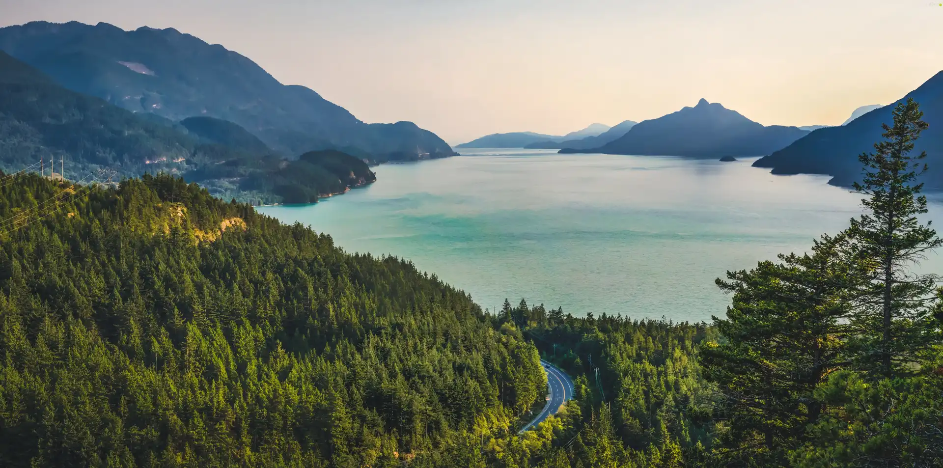 lake, forest, Way, Mountains