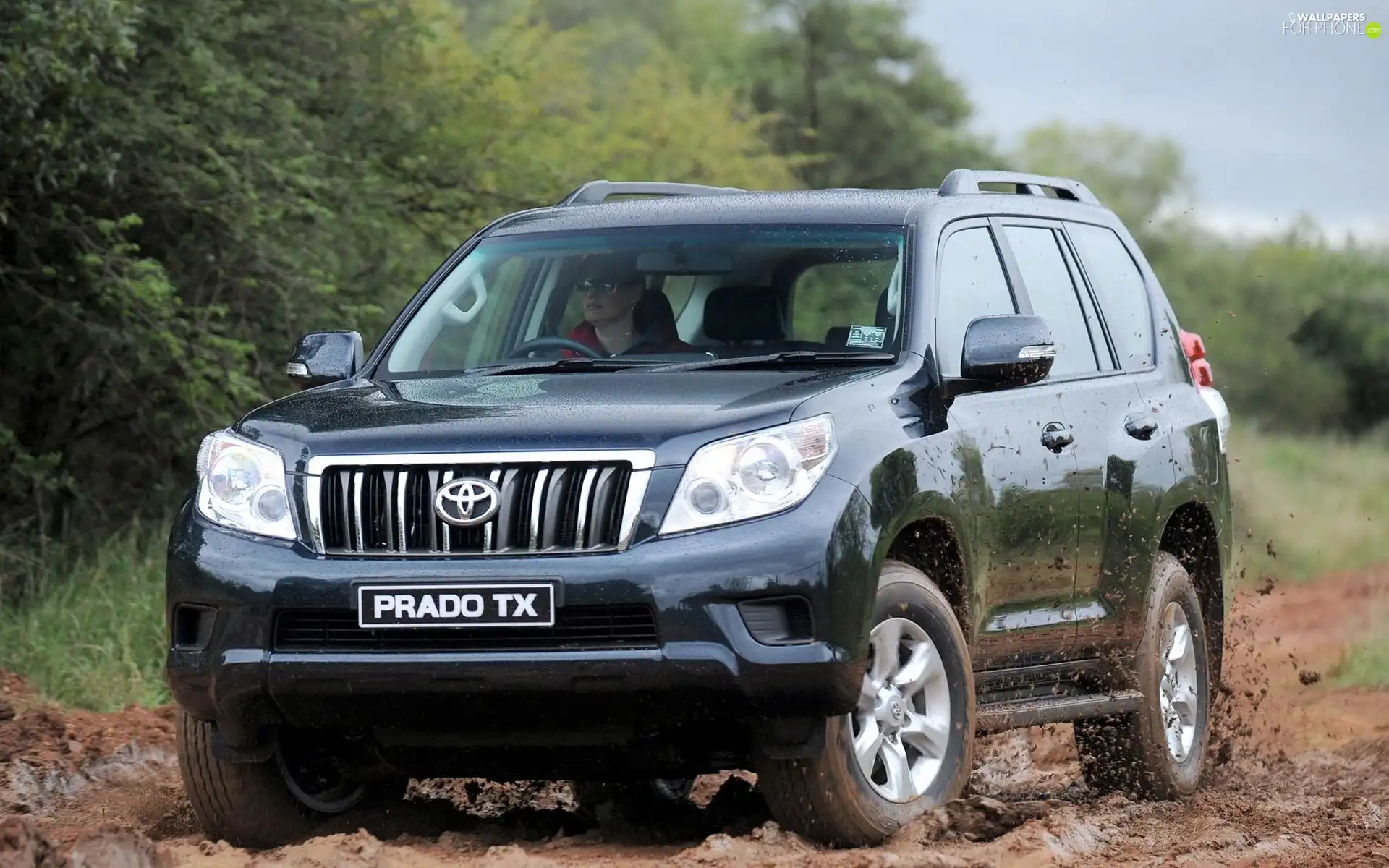 Toyota, Prado TX, Way, Land Cruiser