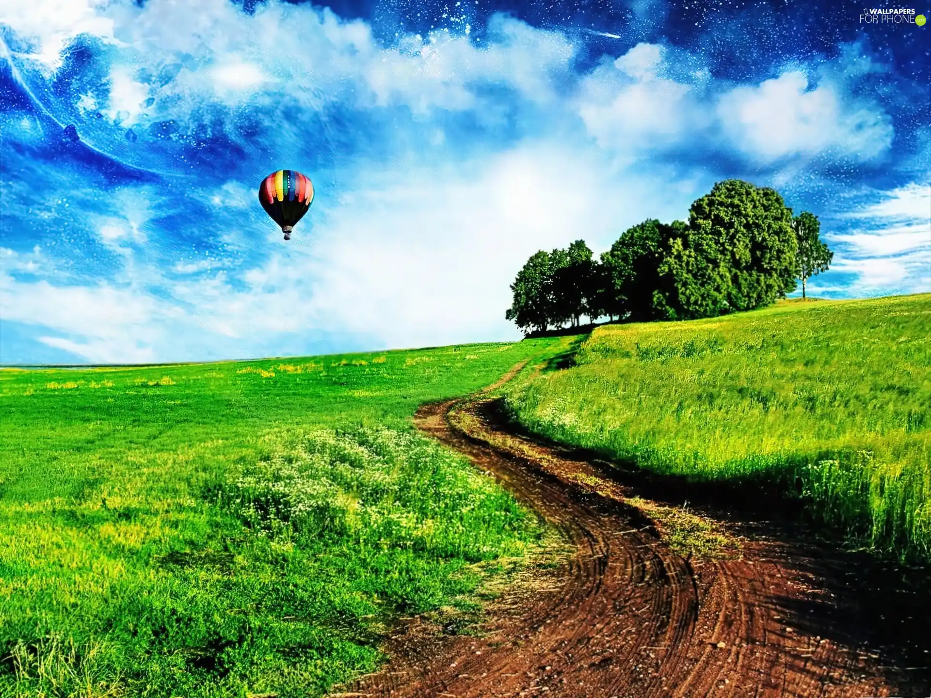Way, Balloon, Meadow