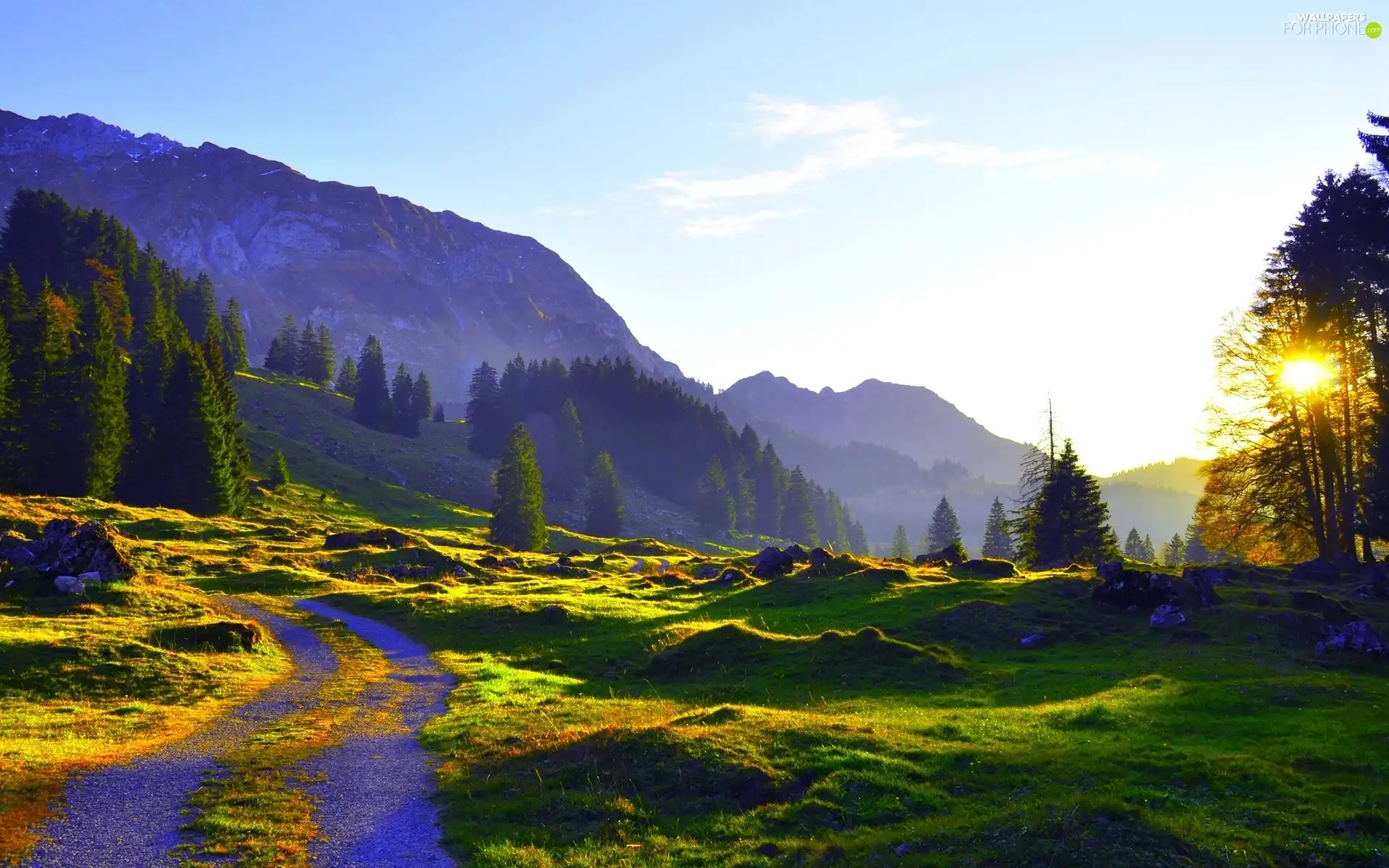 Mountains, Meadow, Way, woods