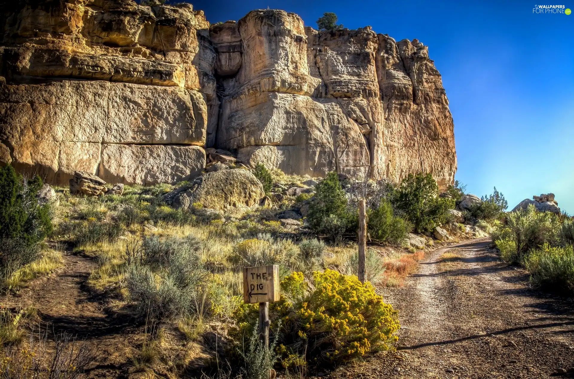 Way, rocks, Plants
