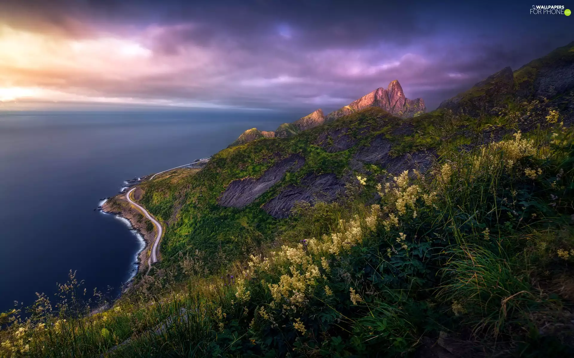 Way, Coast, sea, rocks, Great Sunsets, VEGETATION, The Hills