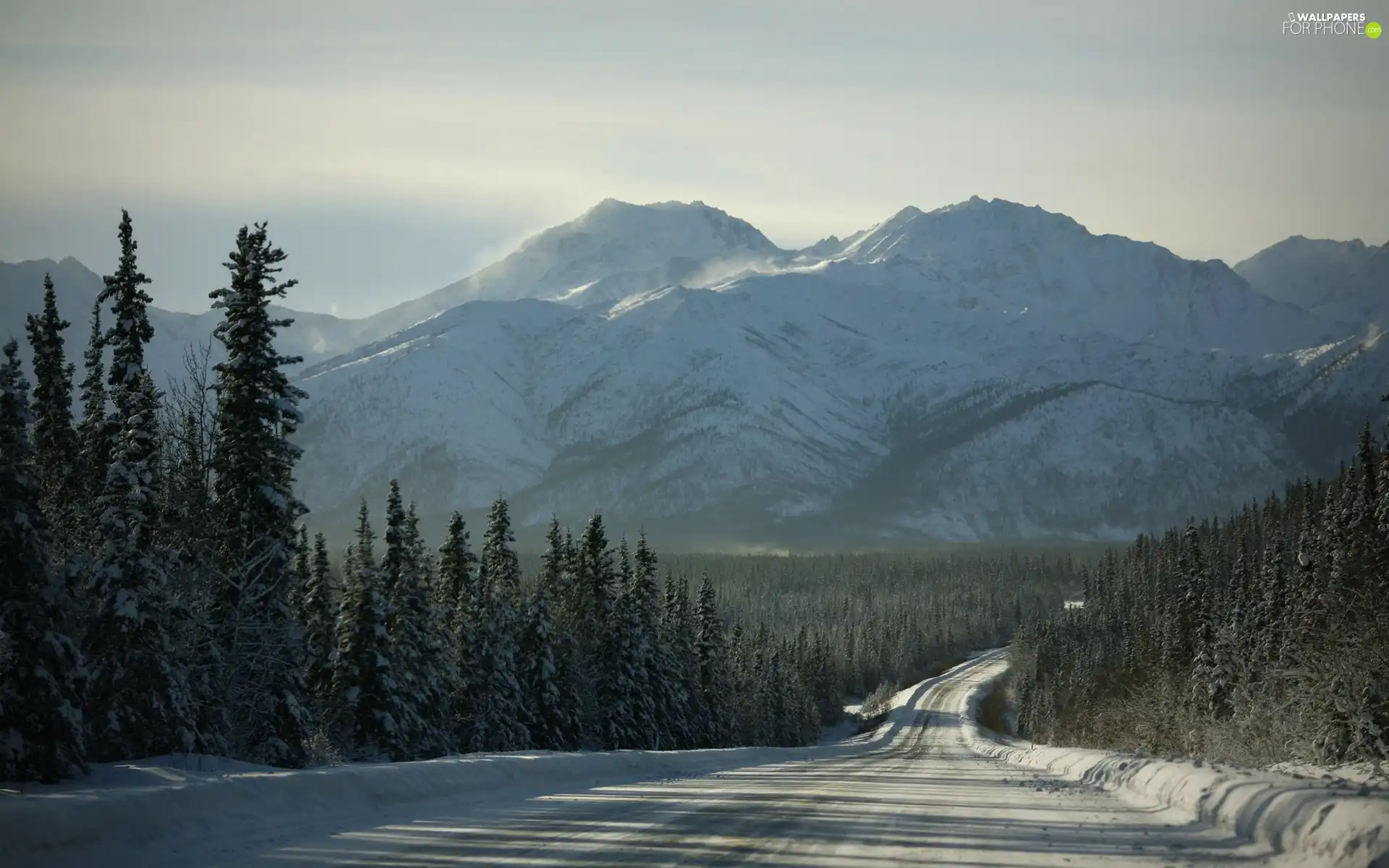 Way, winter, woods, Fog, Mountains