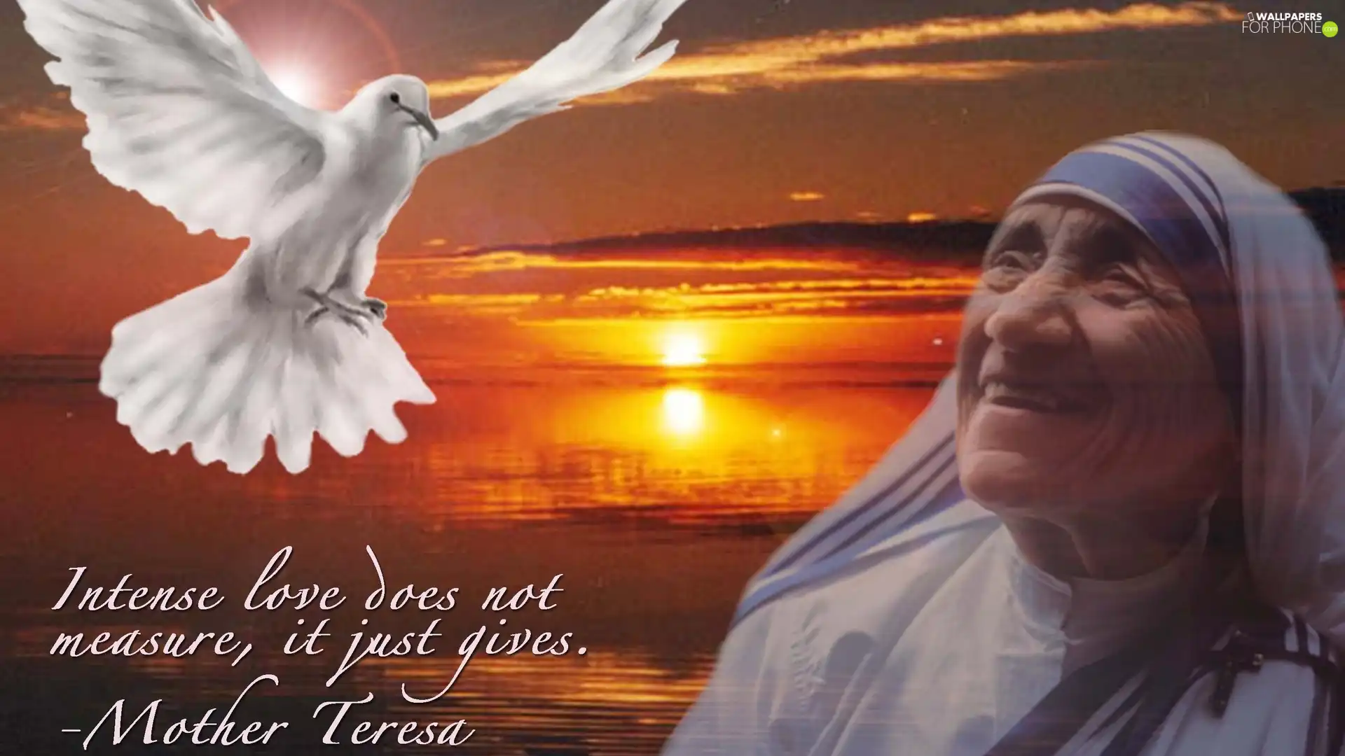 west, sun, Teresa, pigeon, mother