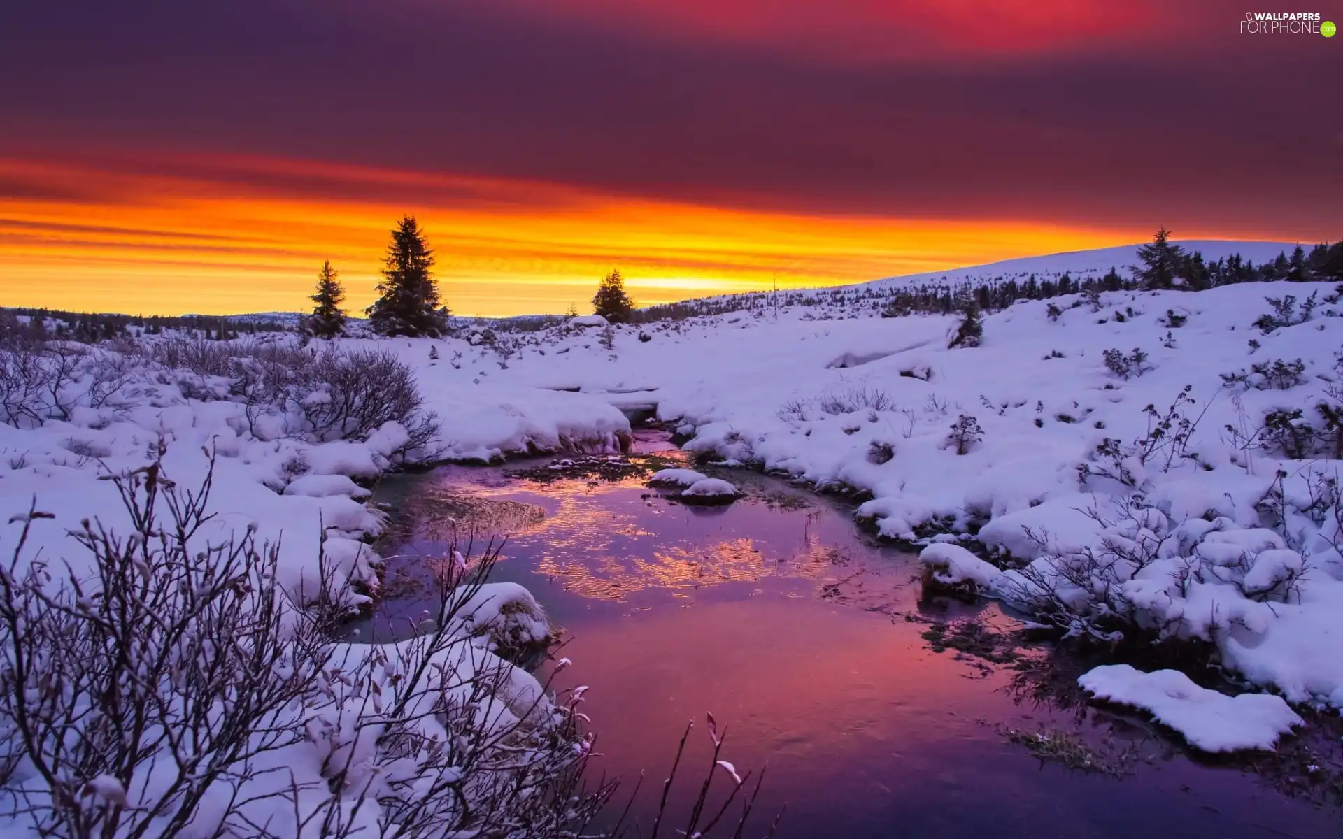 viewes, Mountains, sun, trees, brook, west, winter