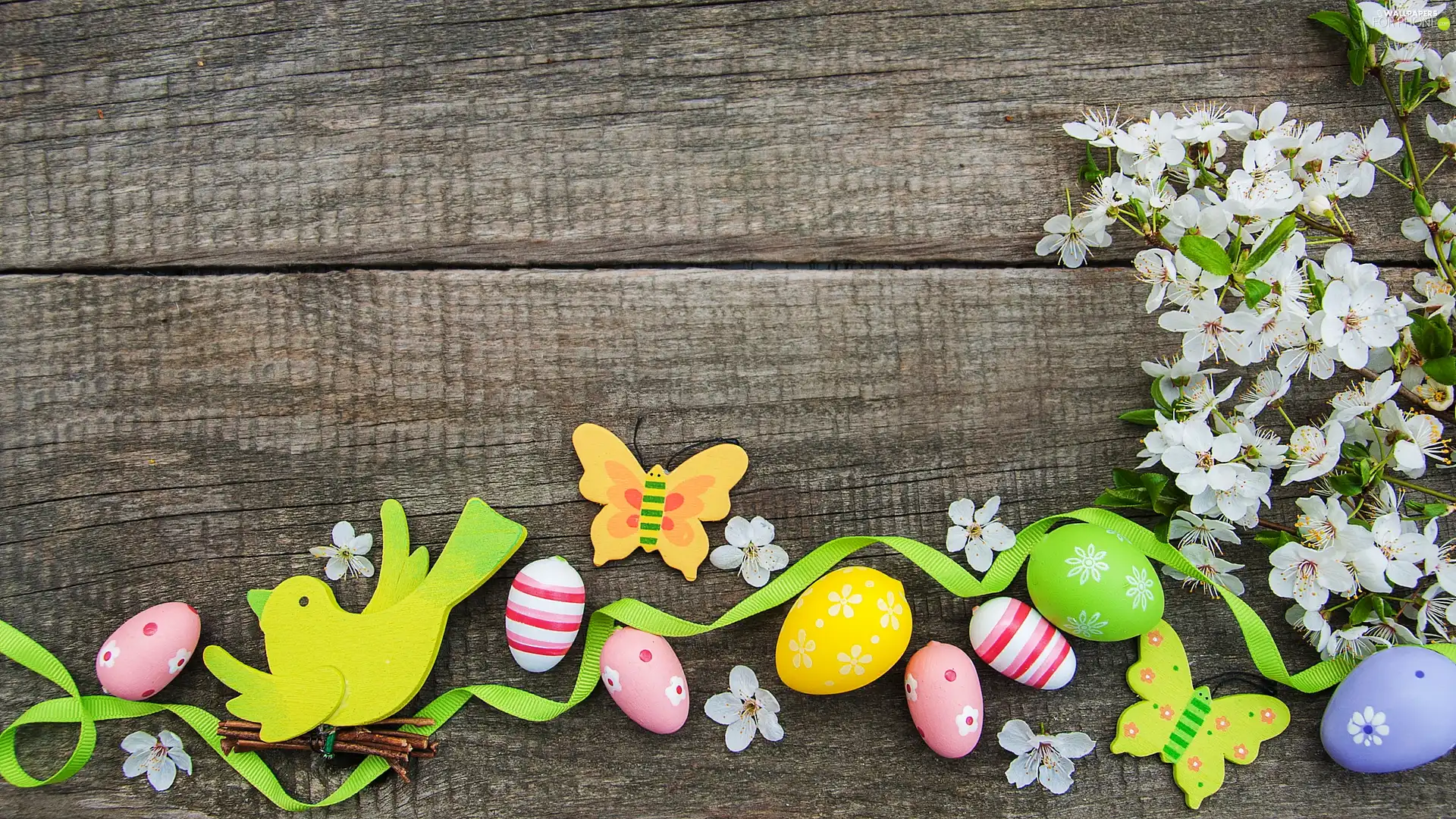 ribbon, birdies, boarding, butterfly, Flowers, eggs, Easter, White