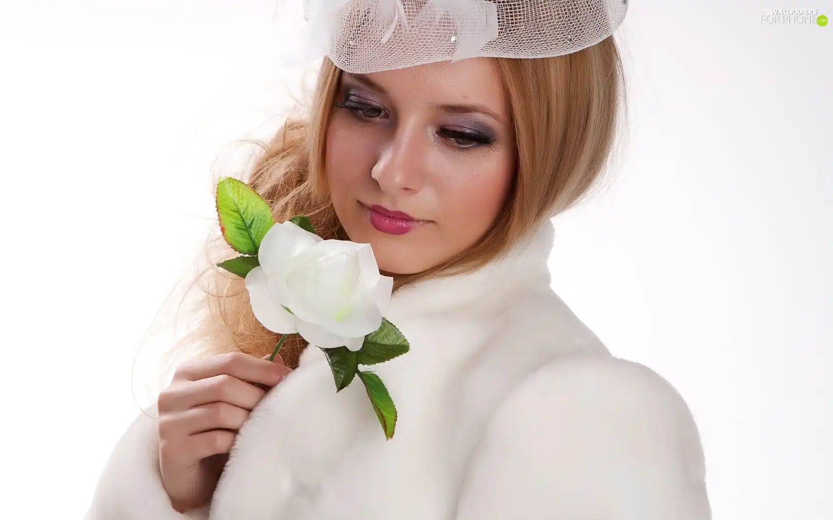 White, rose, Women, hat, Beauty