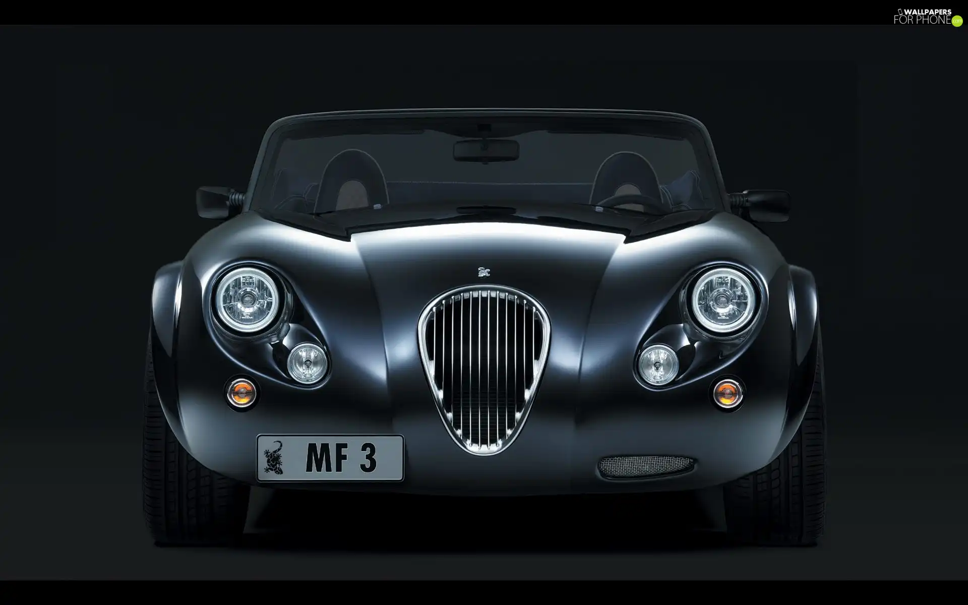 Grill, Front, Wiesmann MF3