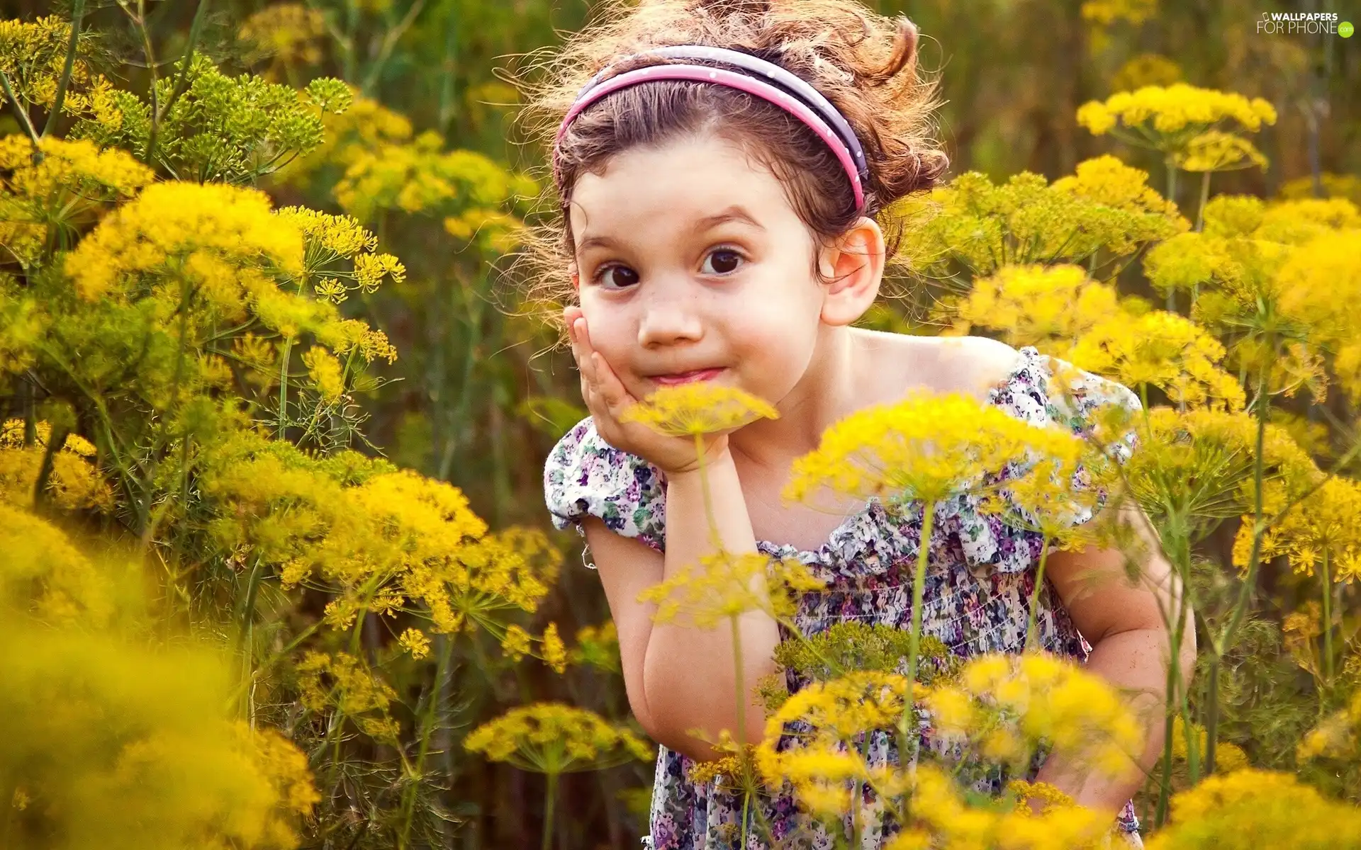 Wildflowers, Flowers, girl, Meadow, small