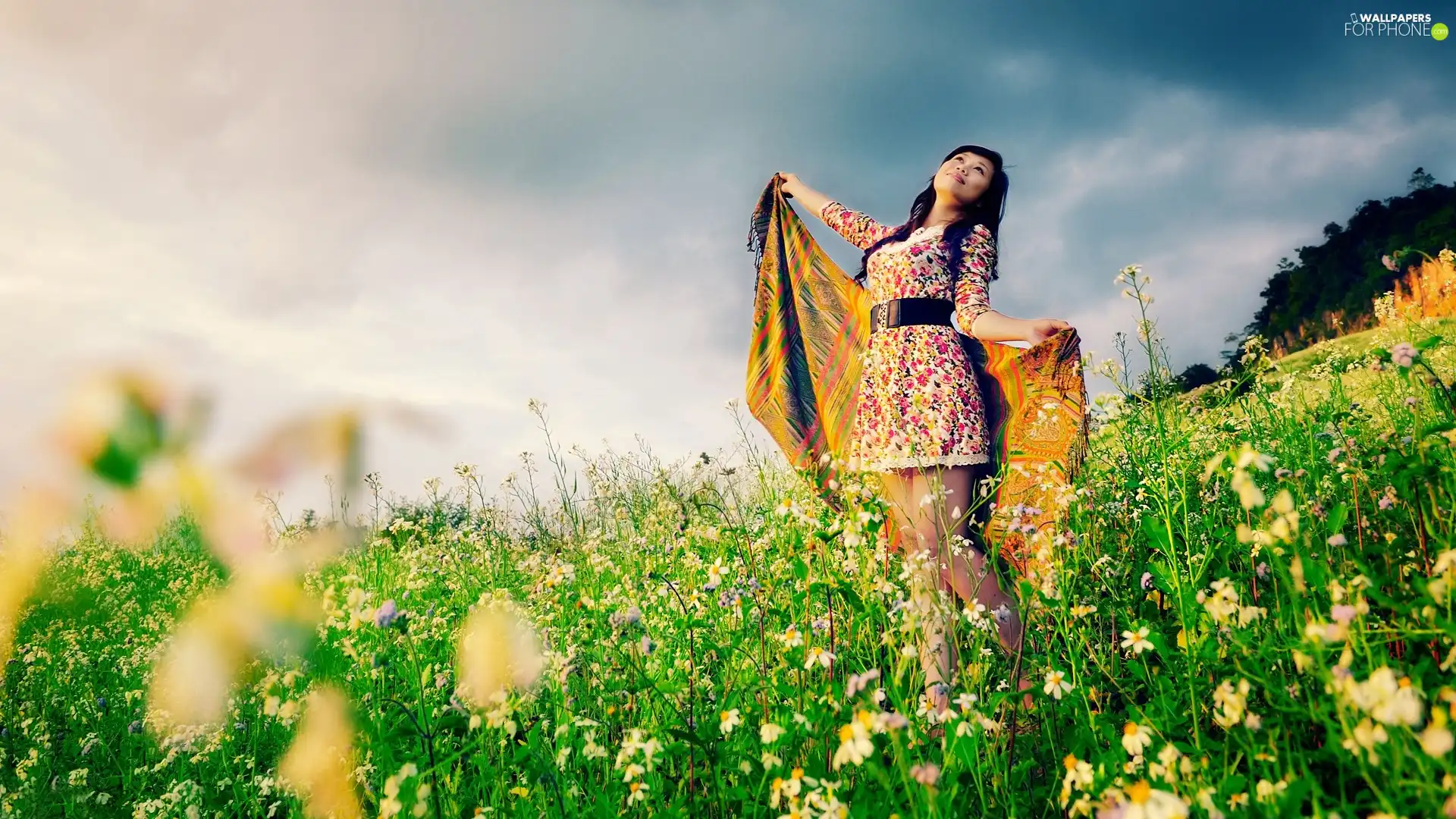 Wildflowers, Flowers, dress, shawl, Women