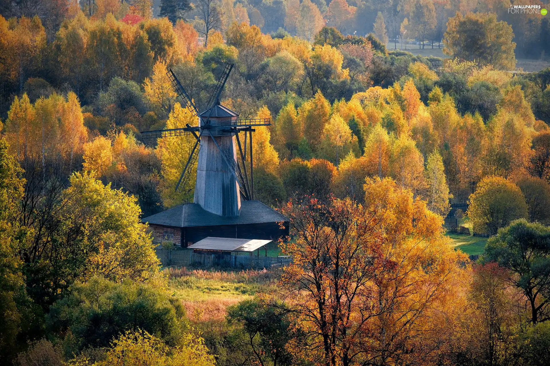 forest, Windmill, trees, viewes, autumn