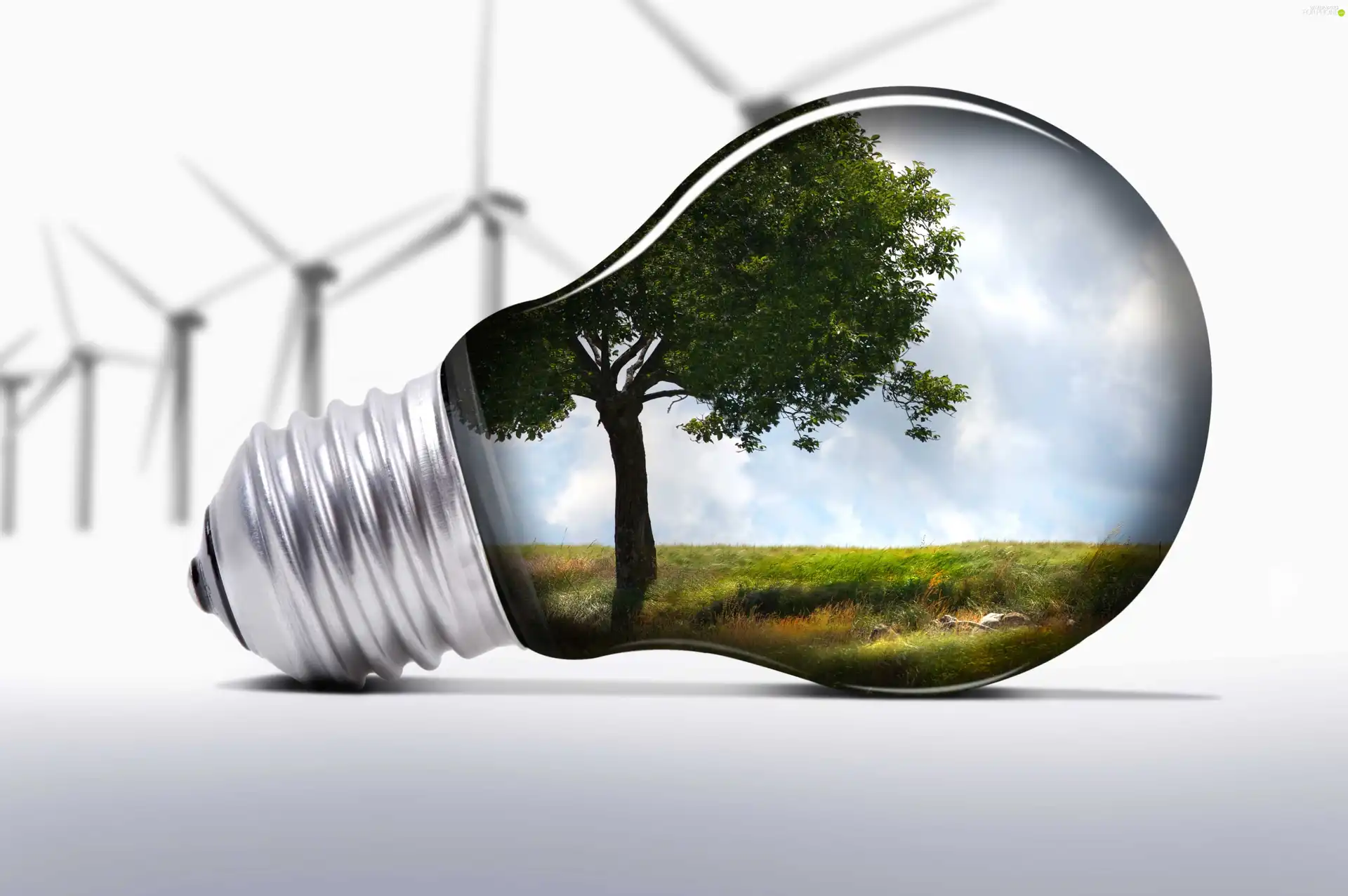 Windmills, Economical, bulb