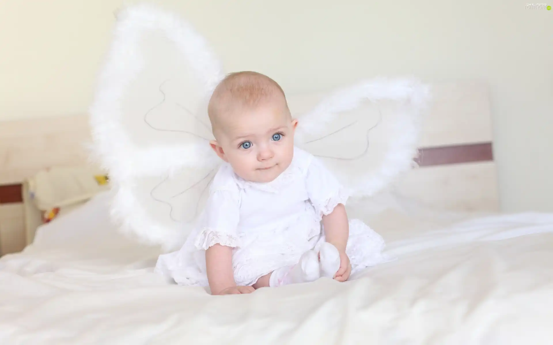 wings, Kid, angel