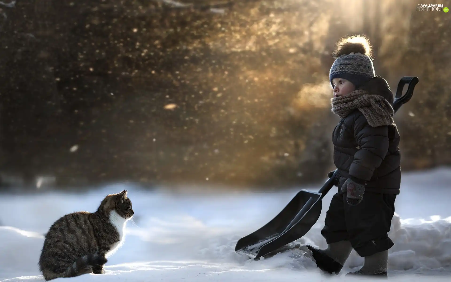 boy, Park, winter, cat