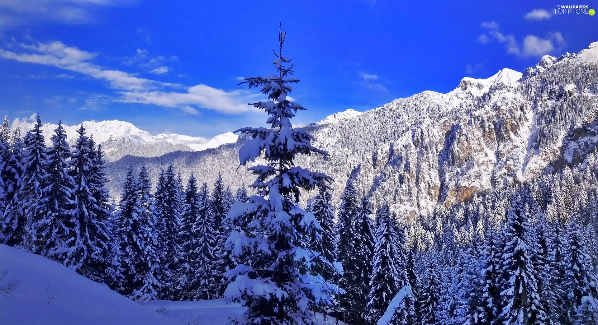 winter, Mountains, forest