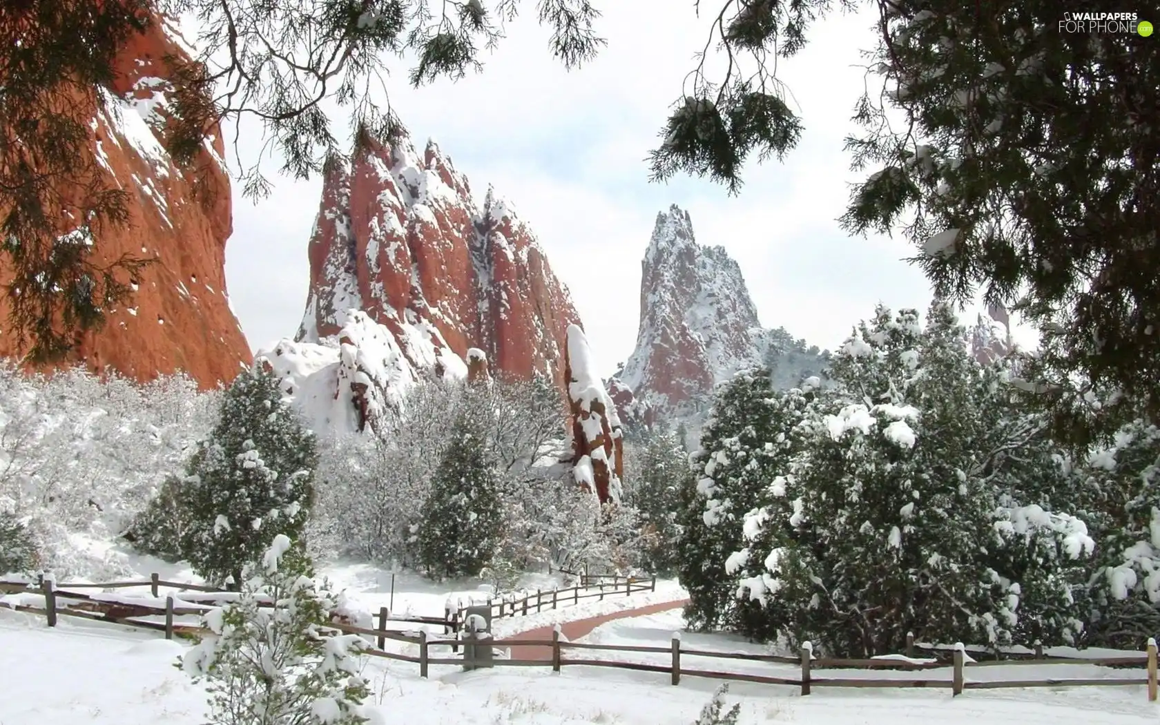 winter, Mountains, forest