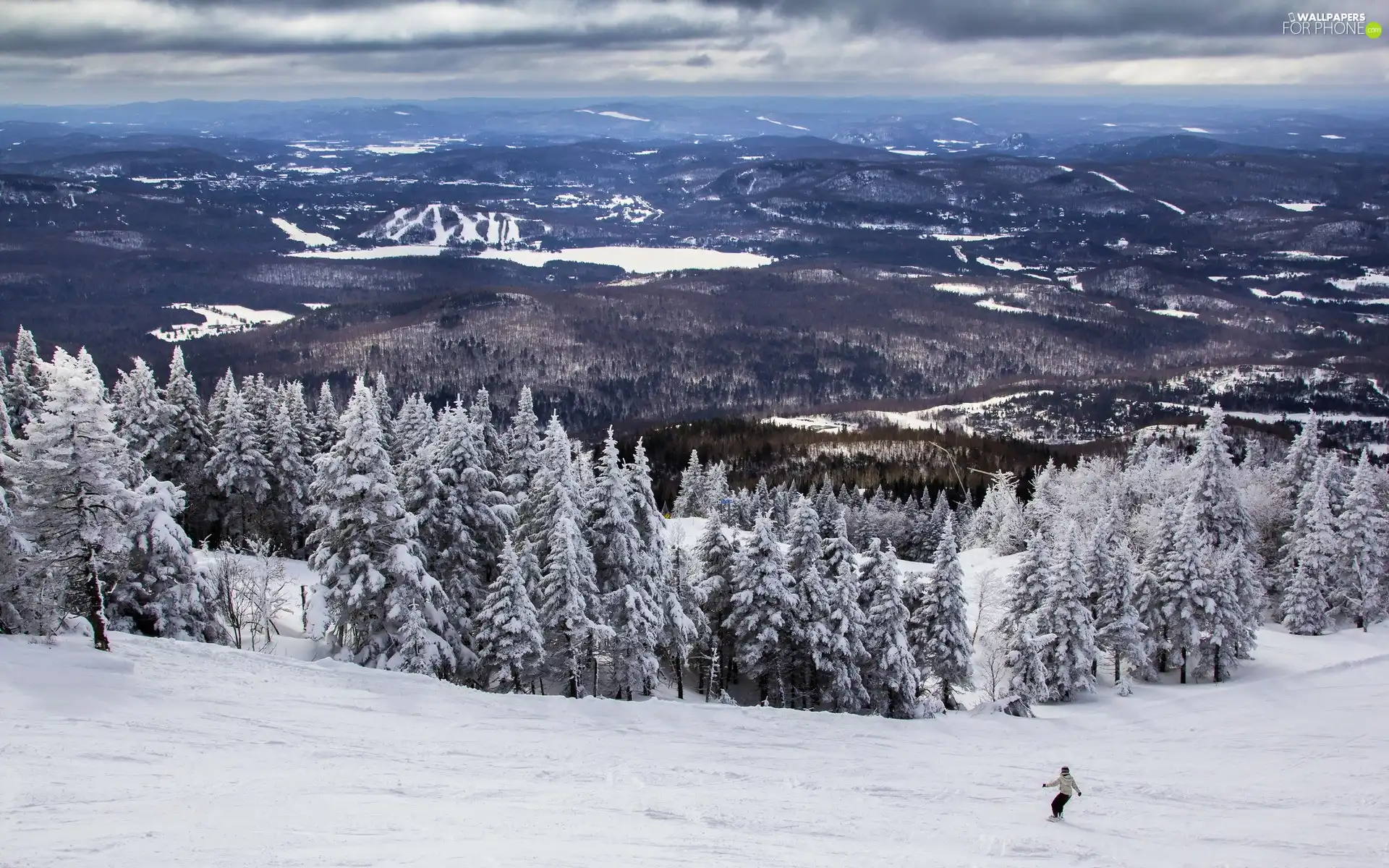 winter, Mountains, forest