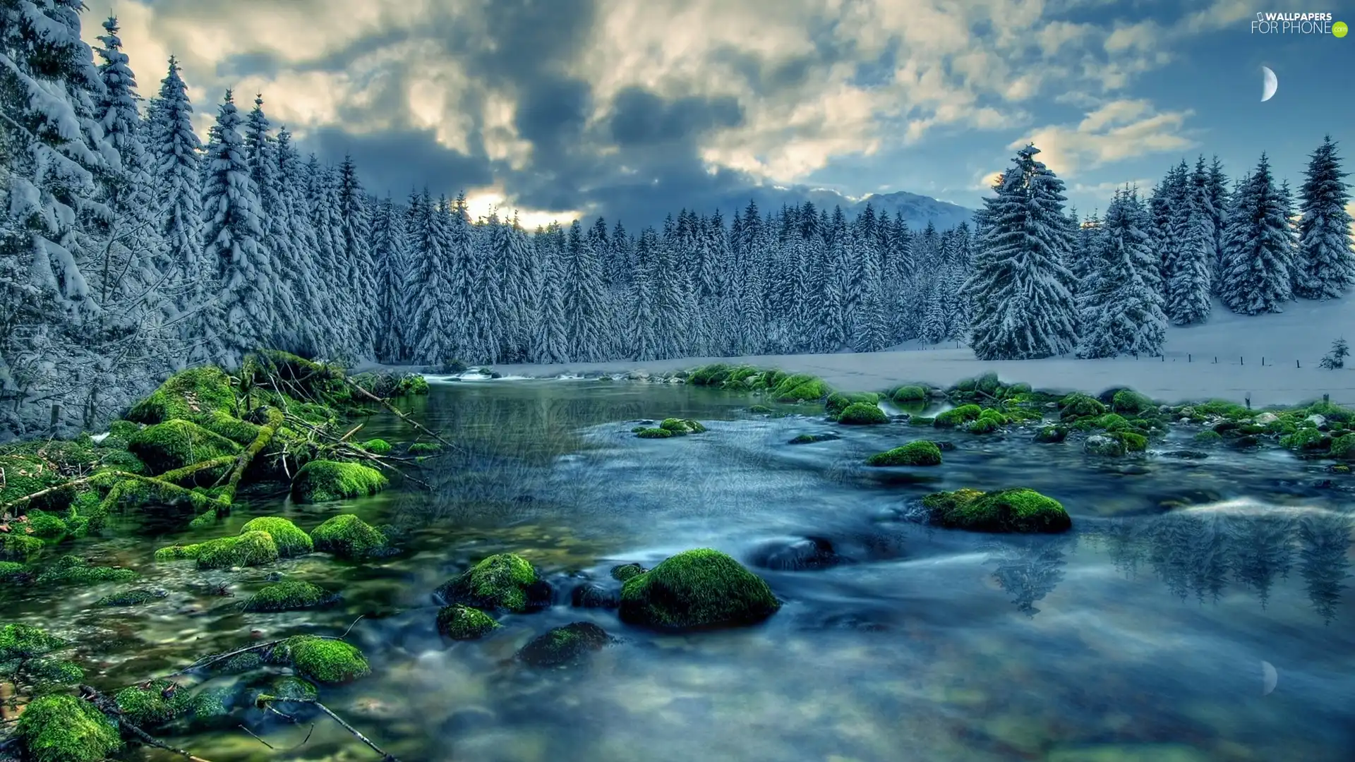 winter, River, forest