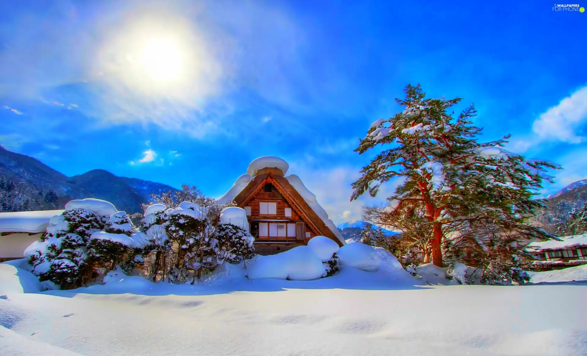 house, viewes, winter, trees