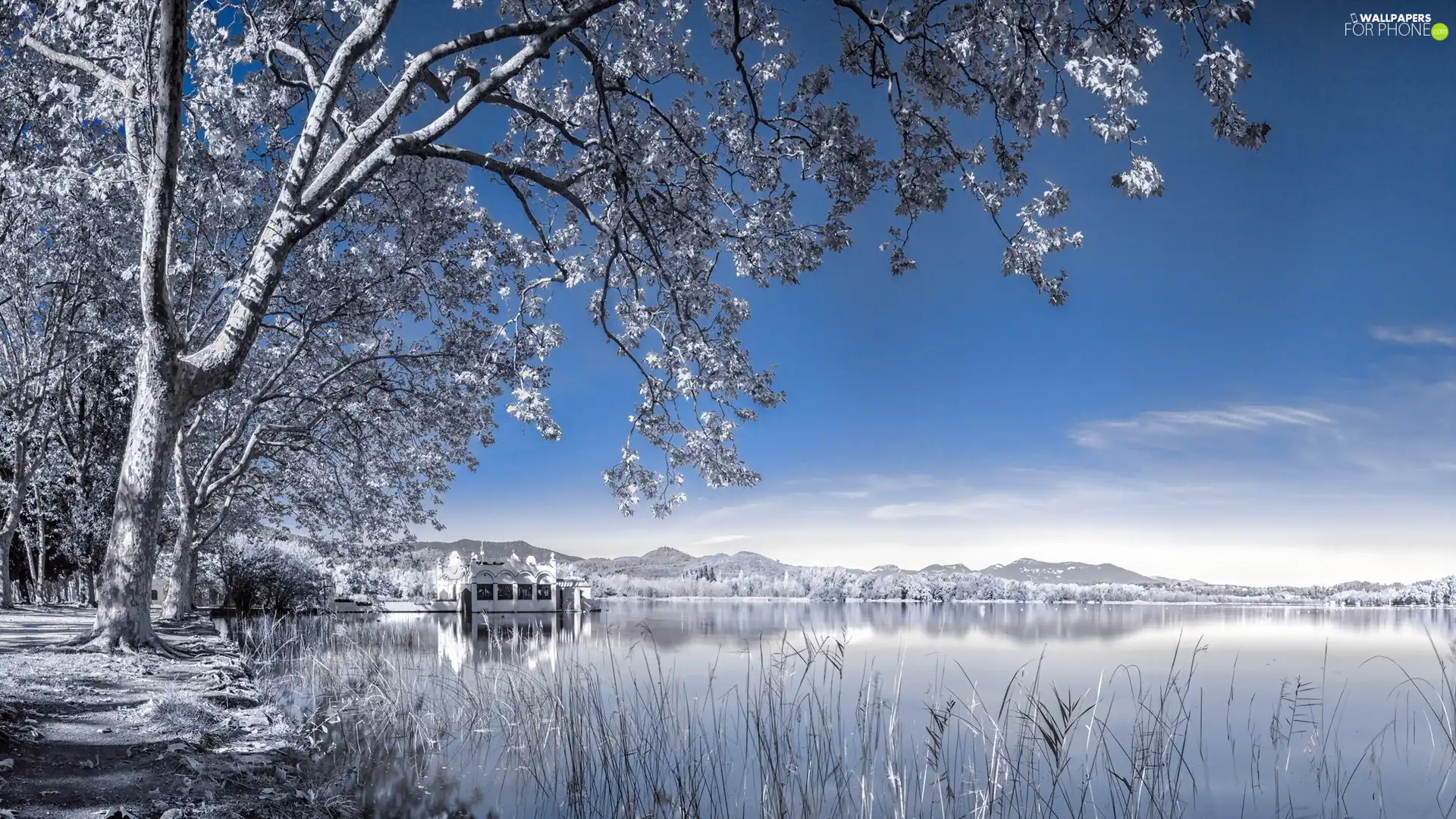 lake, viewes, winter, trees