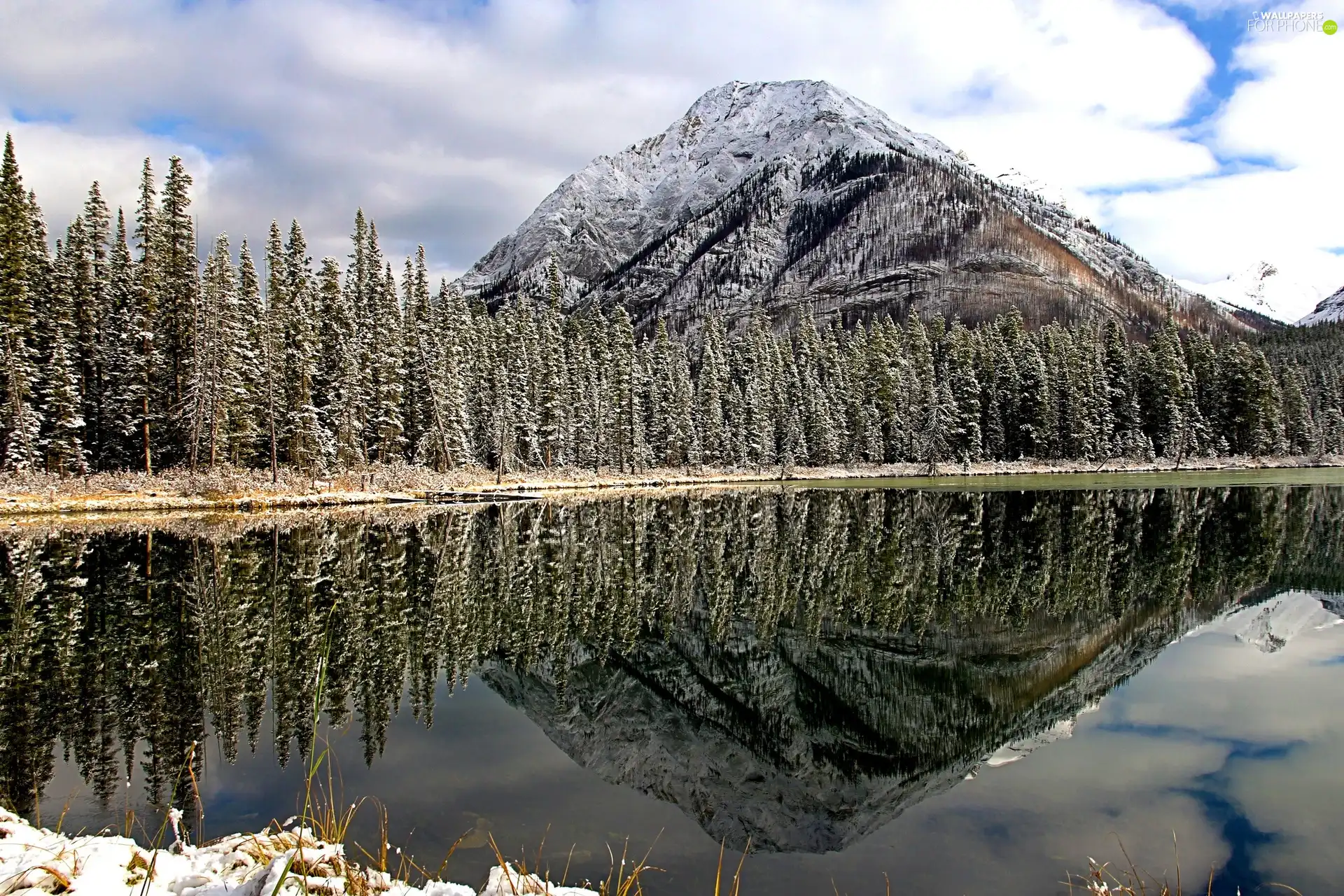 Mountains, River, winter, forest