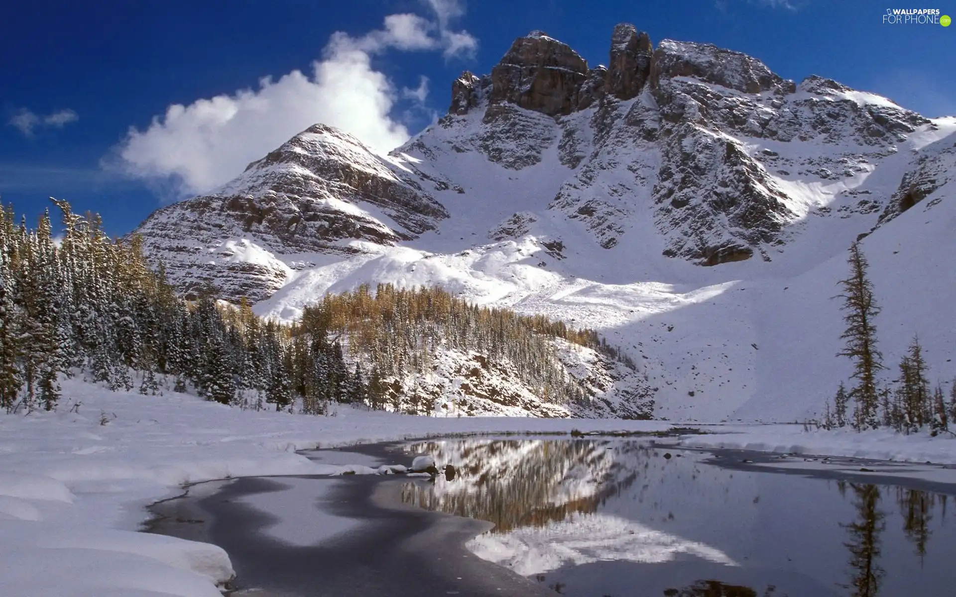 Mountains, River, winter, woods