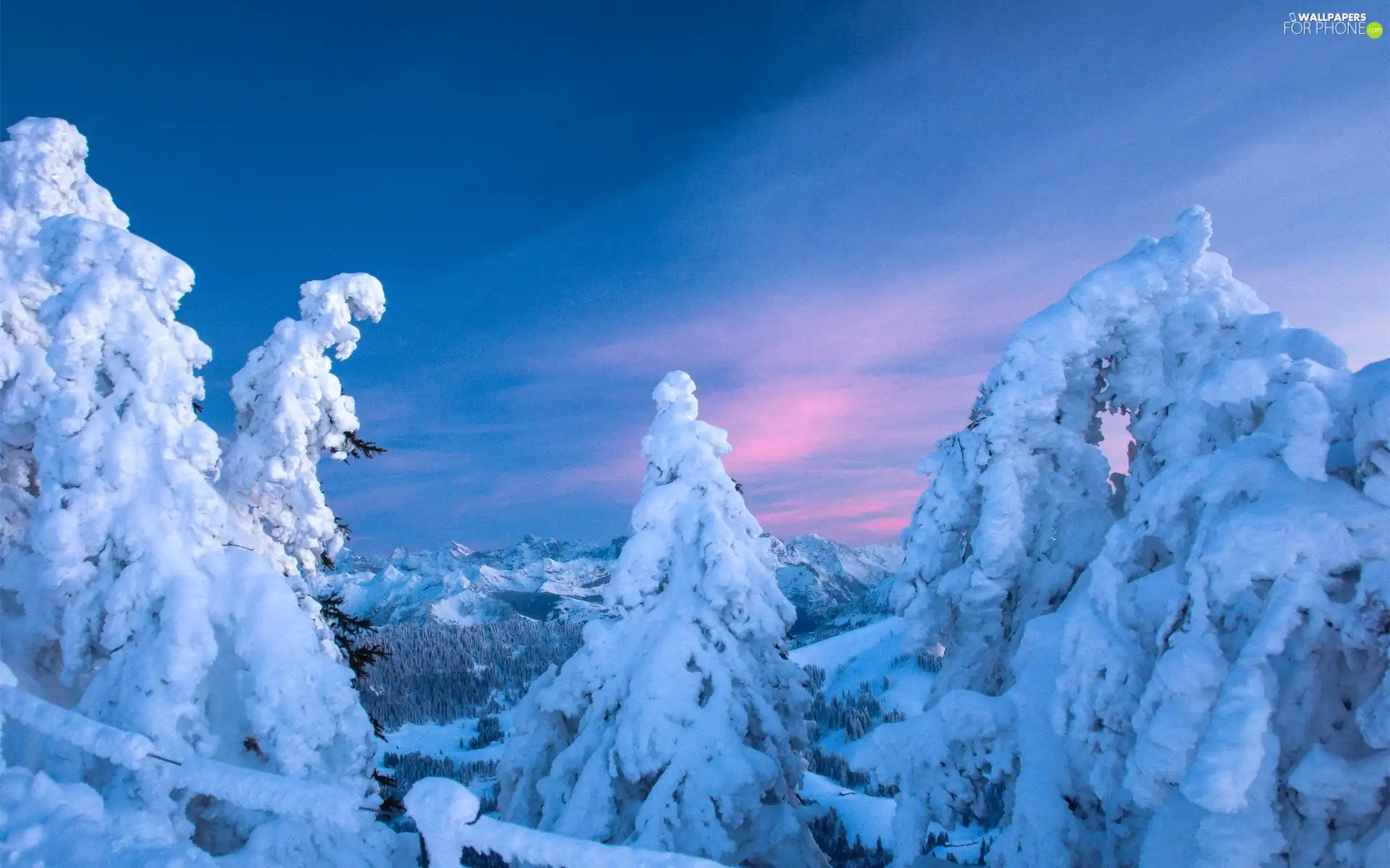 Mountains, snow, winter, forest